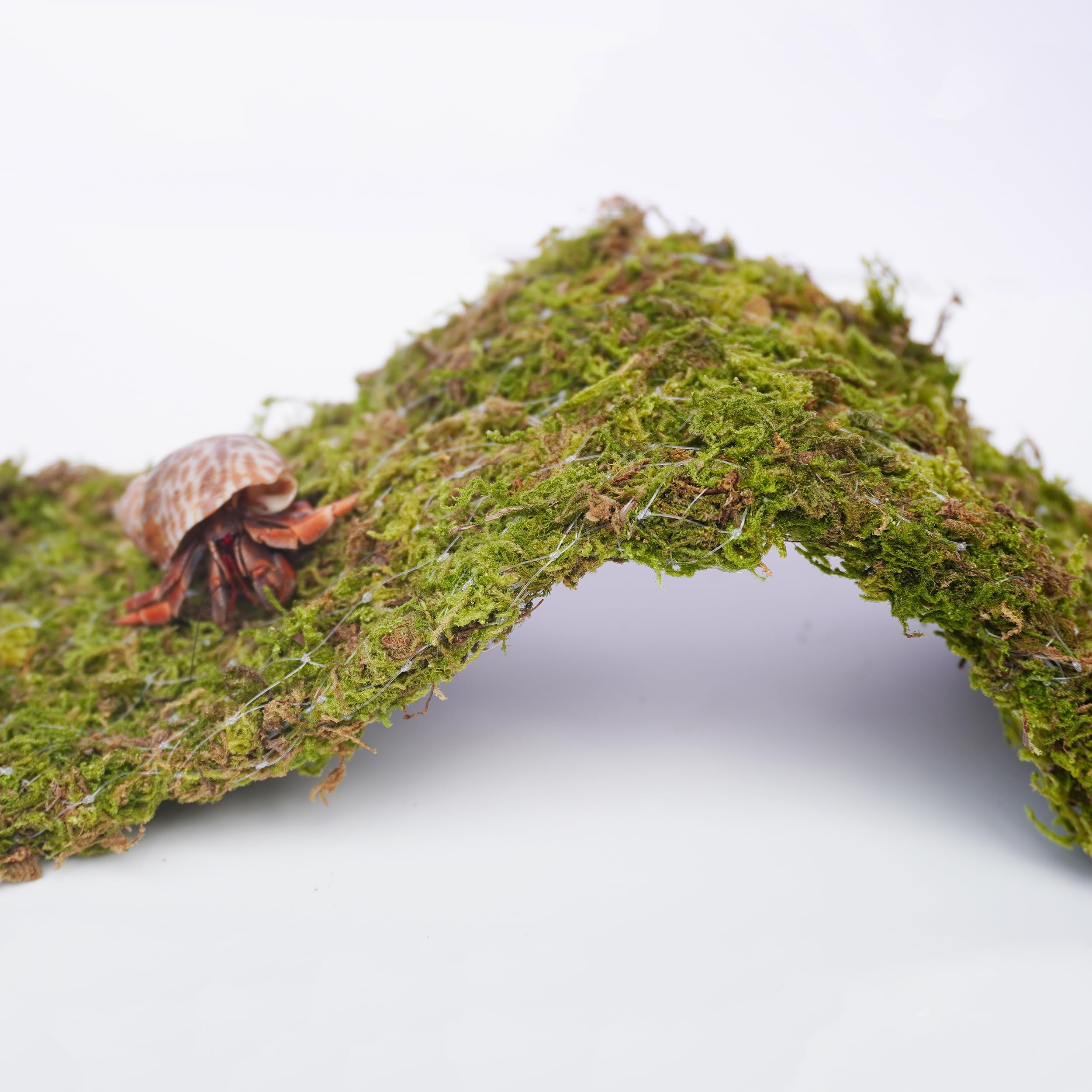 Begeterday Hermit Crab Climbing Toys, 13.5 Inch Bendable Climbing Bridge, Ideal Hermit Crab Supplies For 10 Gallon Hermit Crab T