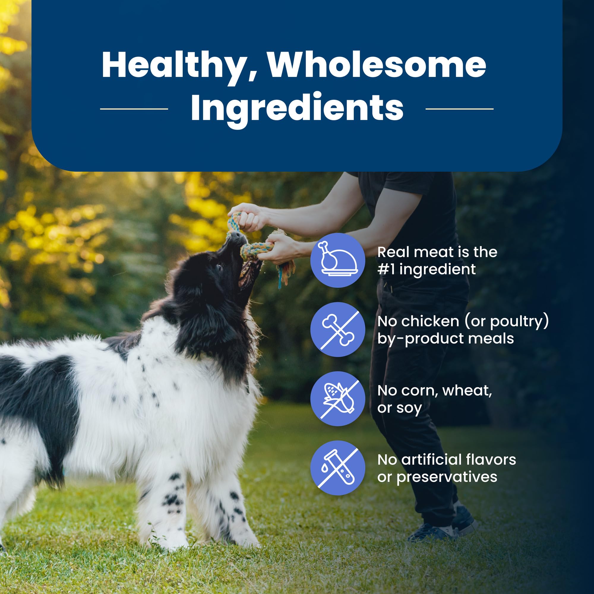 Blue Buffalo Life Protection Formula Healthy Weight Large Breed Adult Dry Dog Food for Weight Control, Made with Natural Ingredi