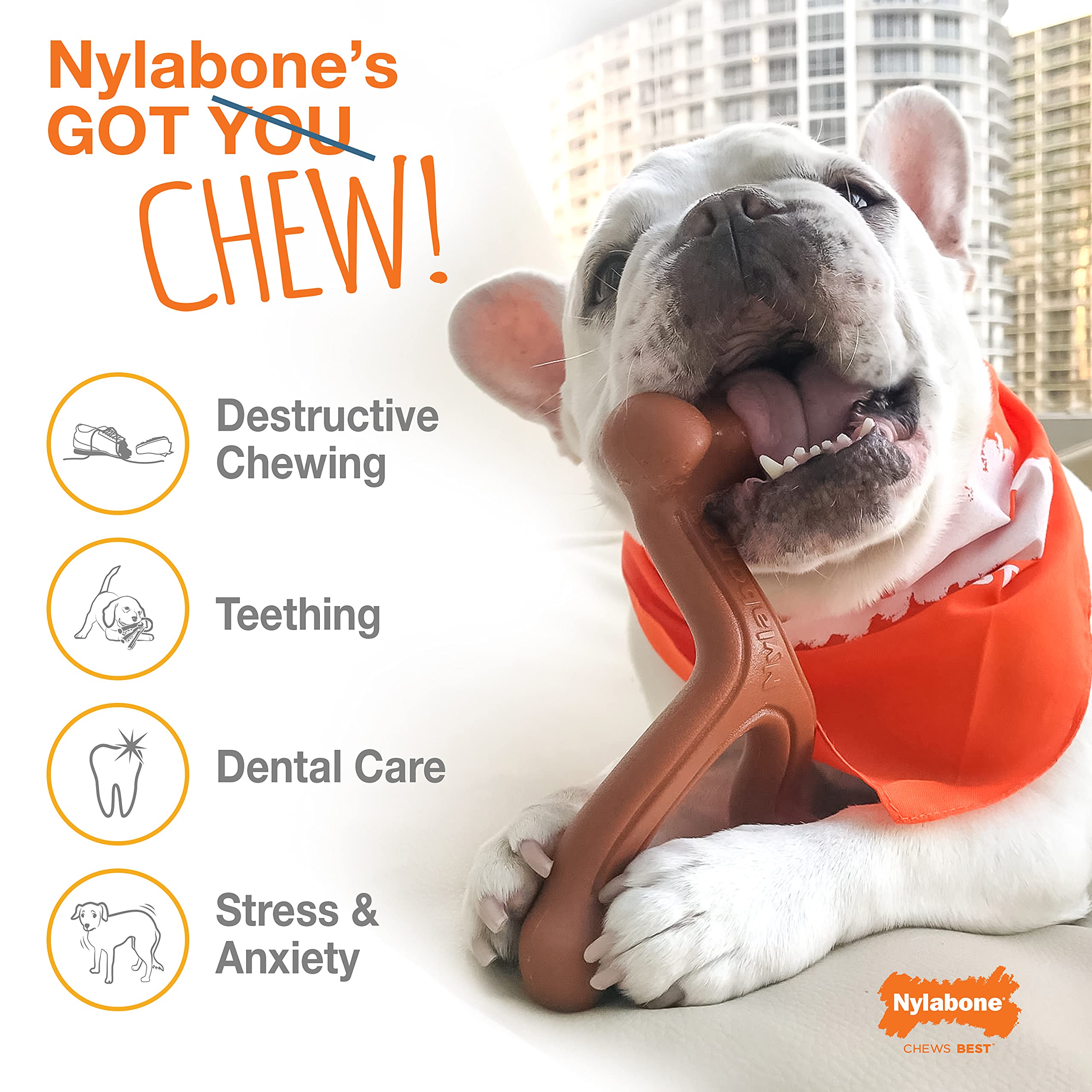 Nylabone Power Chew Alternative Bully Rawhide Combo Ring Bully Bully Stick Medium/Wolf (1 Count)