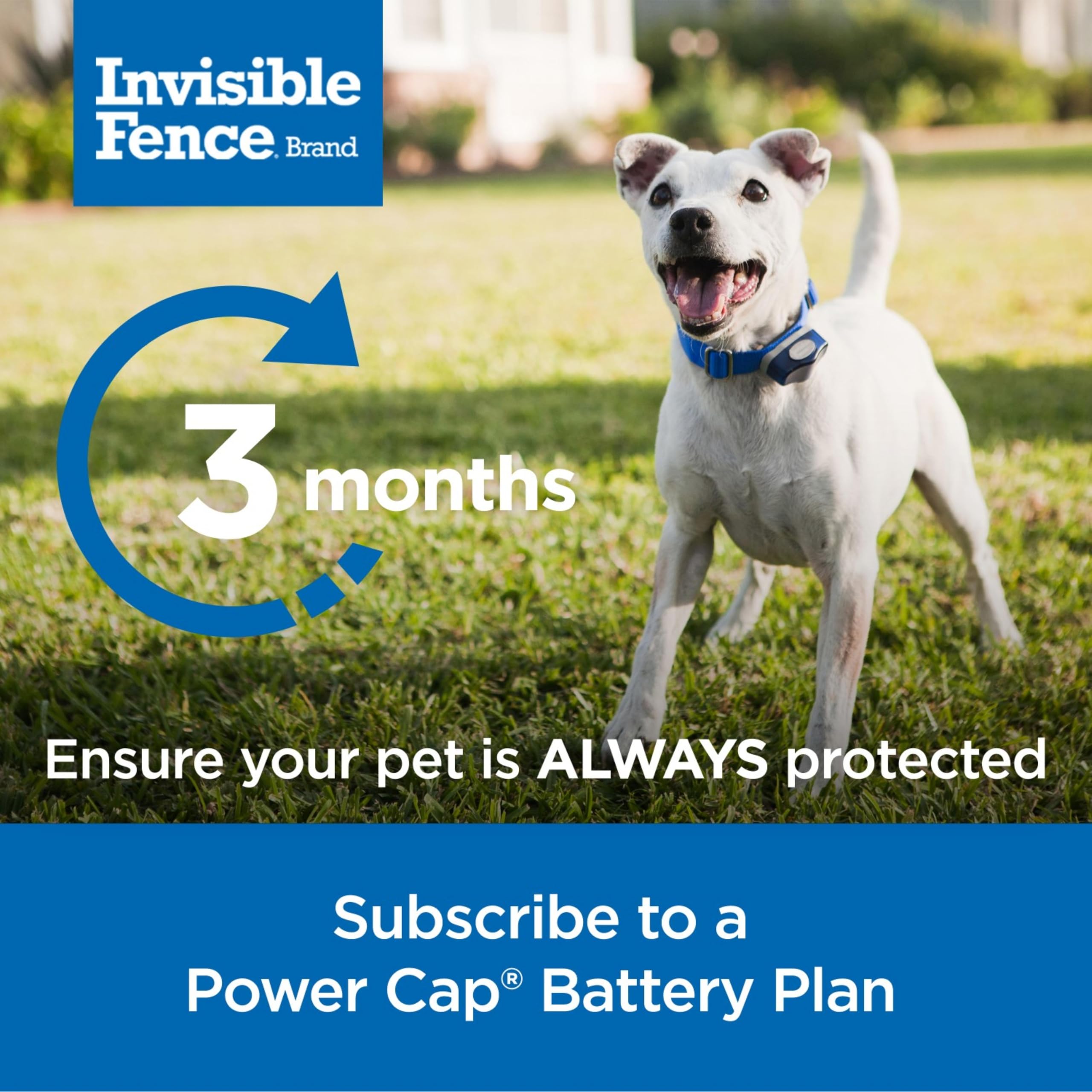 Invisible Fence Power Cap Battery Replacement for Electric Dog Collars, Model RAC00-17754, 1 Pack, Grey