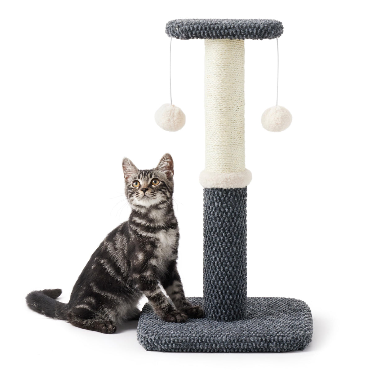 Lesure Cat Scratching Post For Indoor Cats - Highly Resistant Carpet Scratch Posts, Premium Sisal Rope Scratch Posts For Kittens, Sturdy Small Cat Scratch Pole With Hanging Ball, Grey(22.5 Inch)