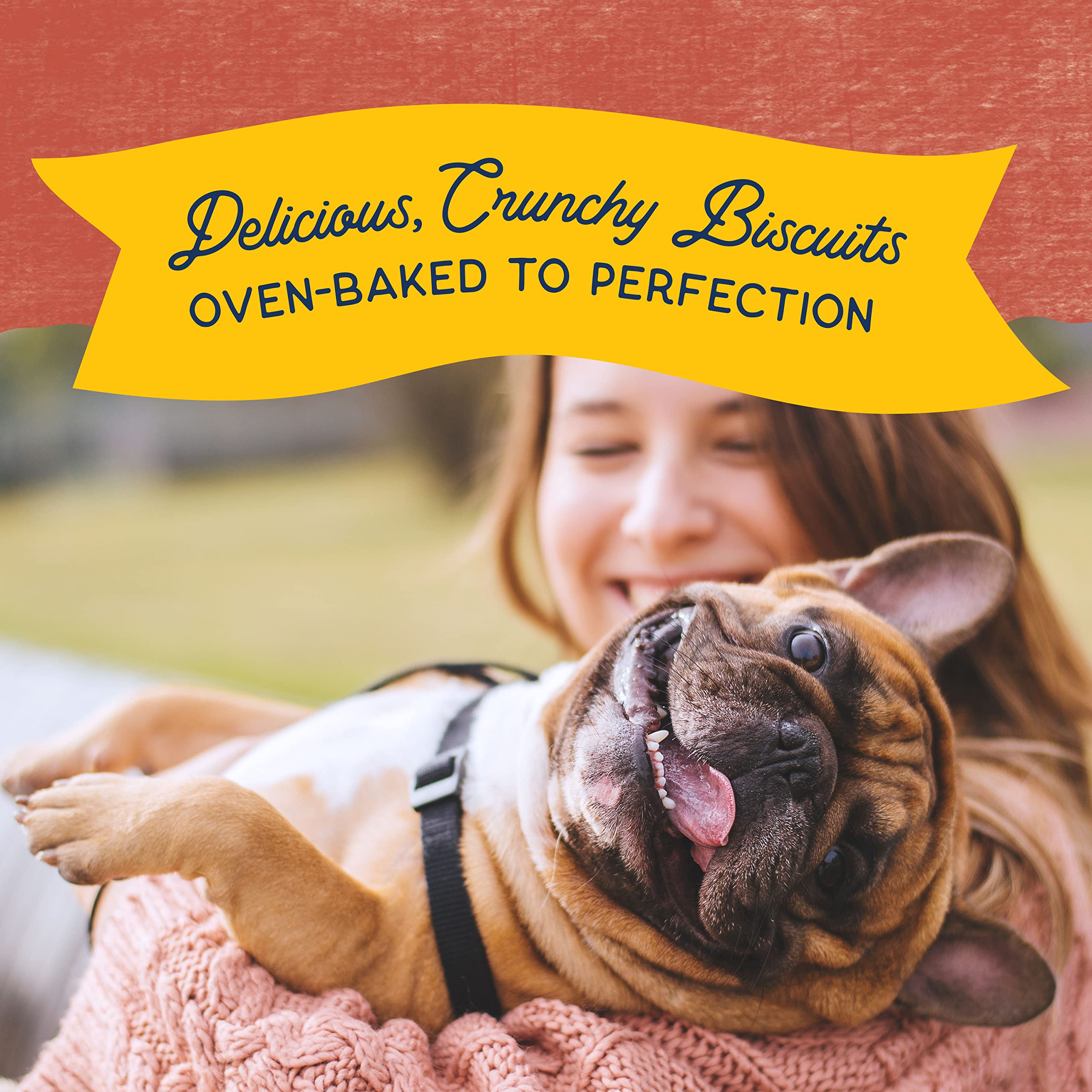 Natural Balance Limited Ingredient Rewards Crunchy Biscuits, Grain-Free Dog Treats for Adult Dogs of All Breeds, Salmon Recipe,