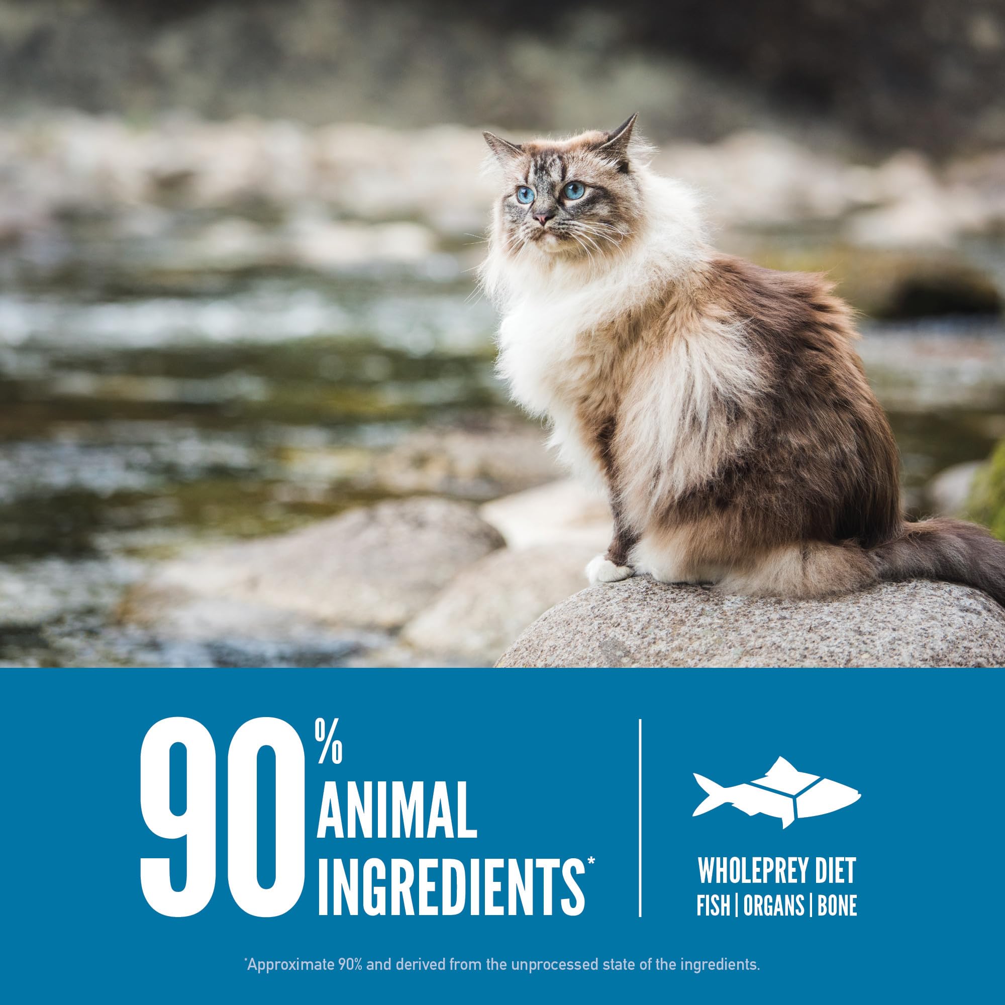 ORIJEN Six Fish Dry Cat Food, Grain Free Cat Food for All Life Stages, With WholePrey Ingredients, 12lb