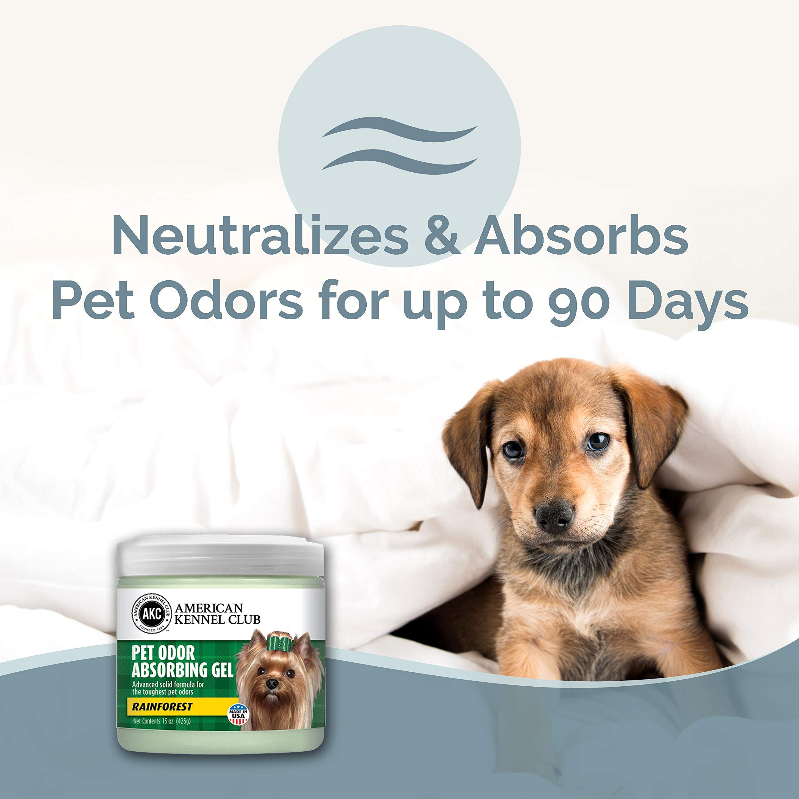 Smells Begone Pet Odor Absorber Gel - Air Freshener - Made With Essential Oils - Rainforest Scent - 15 Ounce - 2 Pack