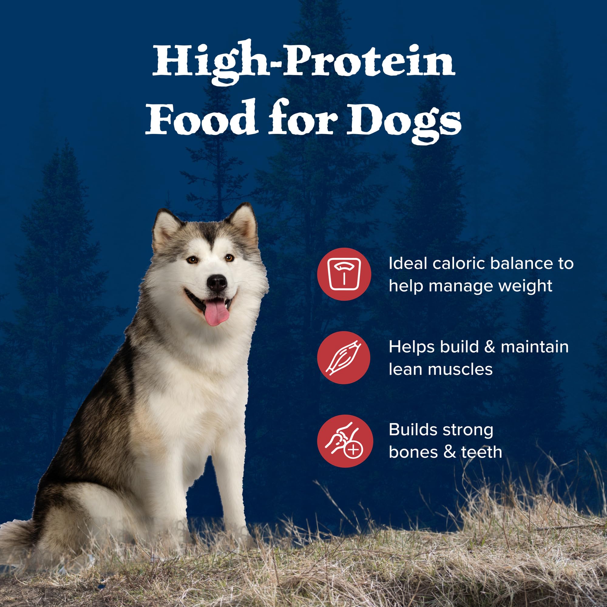 Blue Buffalo Wilderness Rocky Mountain Recipe High-Protein Healthy Weight Adult Dry Dog Food, Made in The USA with Natural Ingre