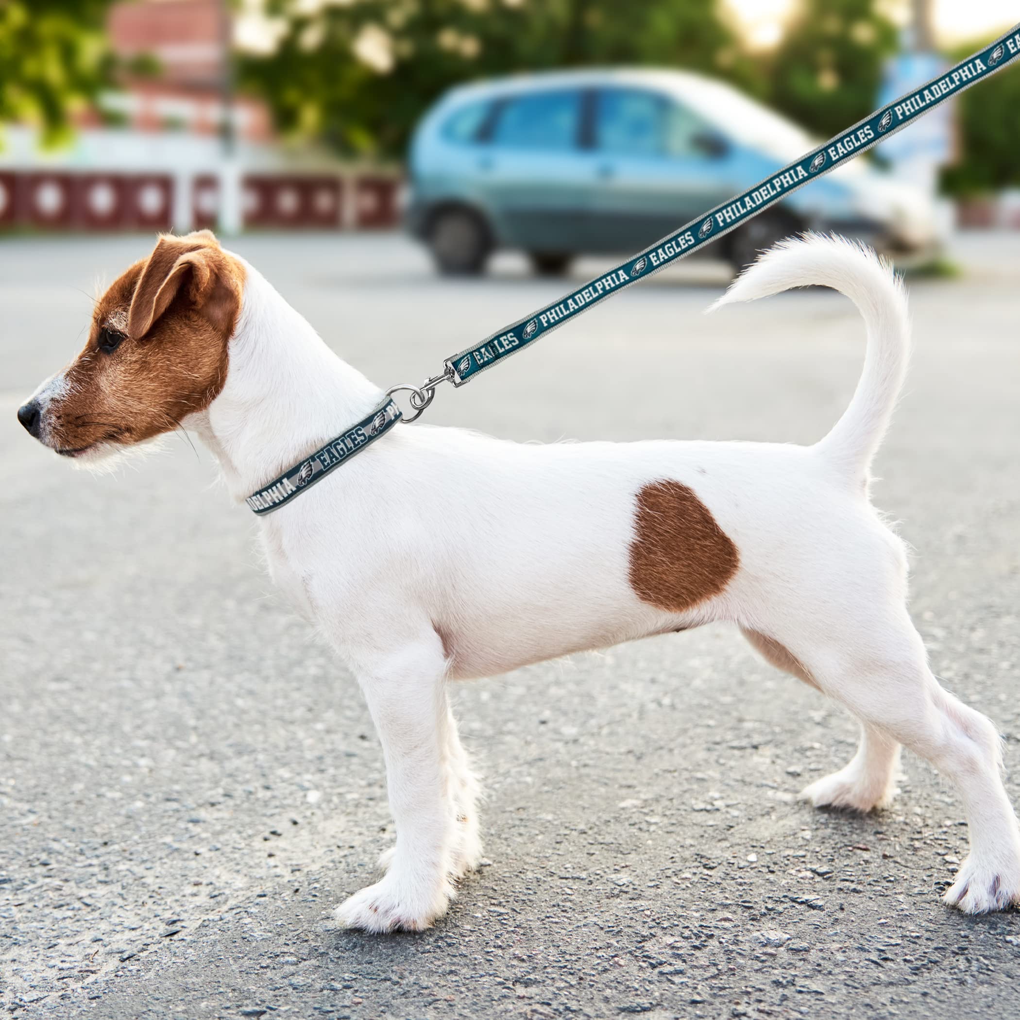 Nfl Pet Leash, Medium, Philadelphia Eagles Dog Leash, Football Team Leash For Dogs & Cats. A Shiny & Colorful Dog & Cat Leash With Embroidered Team Name/Logo Licensed By The Nfl