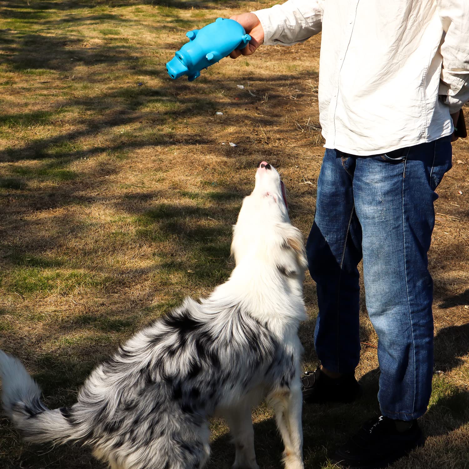 Vimigoo Latex Grunting Pig Sound Play Dog Toy ,Spueaky Dog Toy, Squeeze Pig Toy For Dogs ,Pig Dog Toy That Oinks,Pig Dog Toy 8'