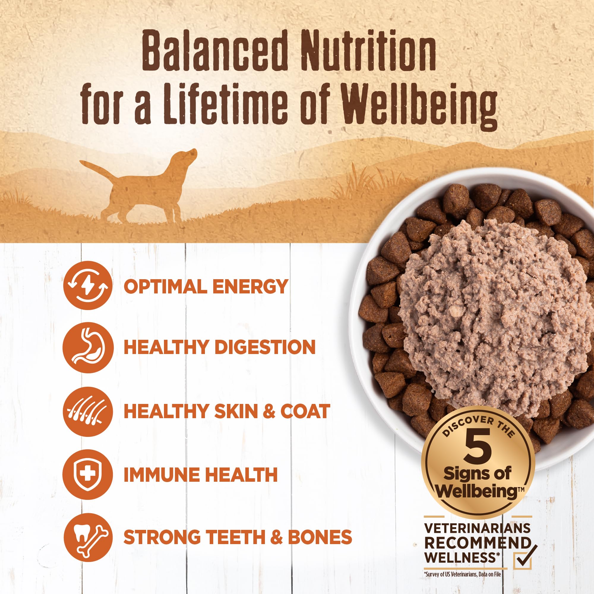 Wellness 95% Turkey Natural Wet Grain Free Canned Dog Food, 13.2-Ounce Can (Pack of 12)