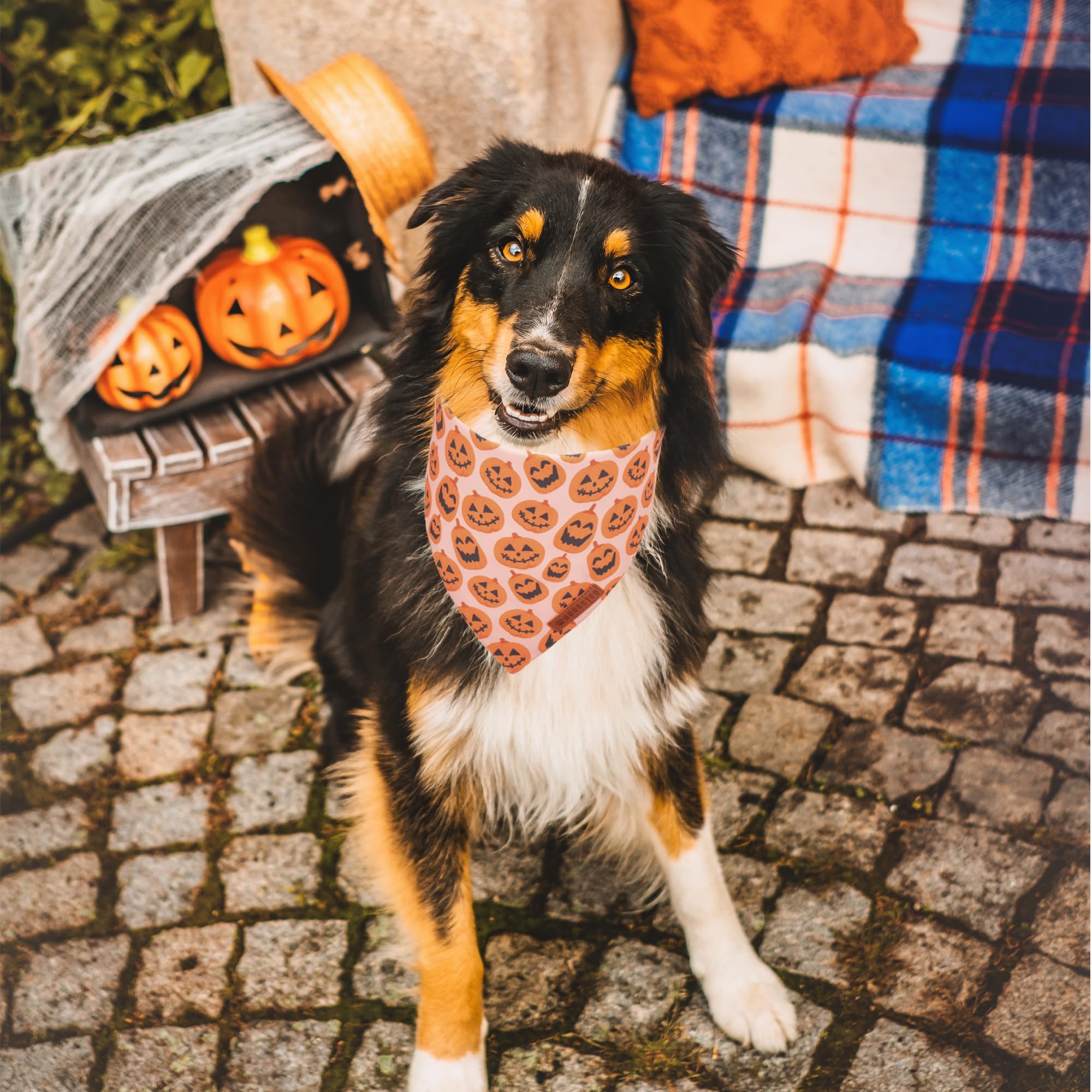 ADOGGYGO Halloween Dog Bandana, Pumpkin Ghost Pet Scarf, Premium Durable Fabric, Adjustable Fit Halloween Bandanas for X-Large D