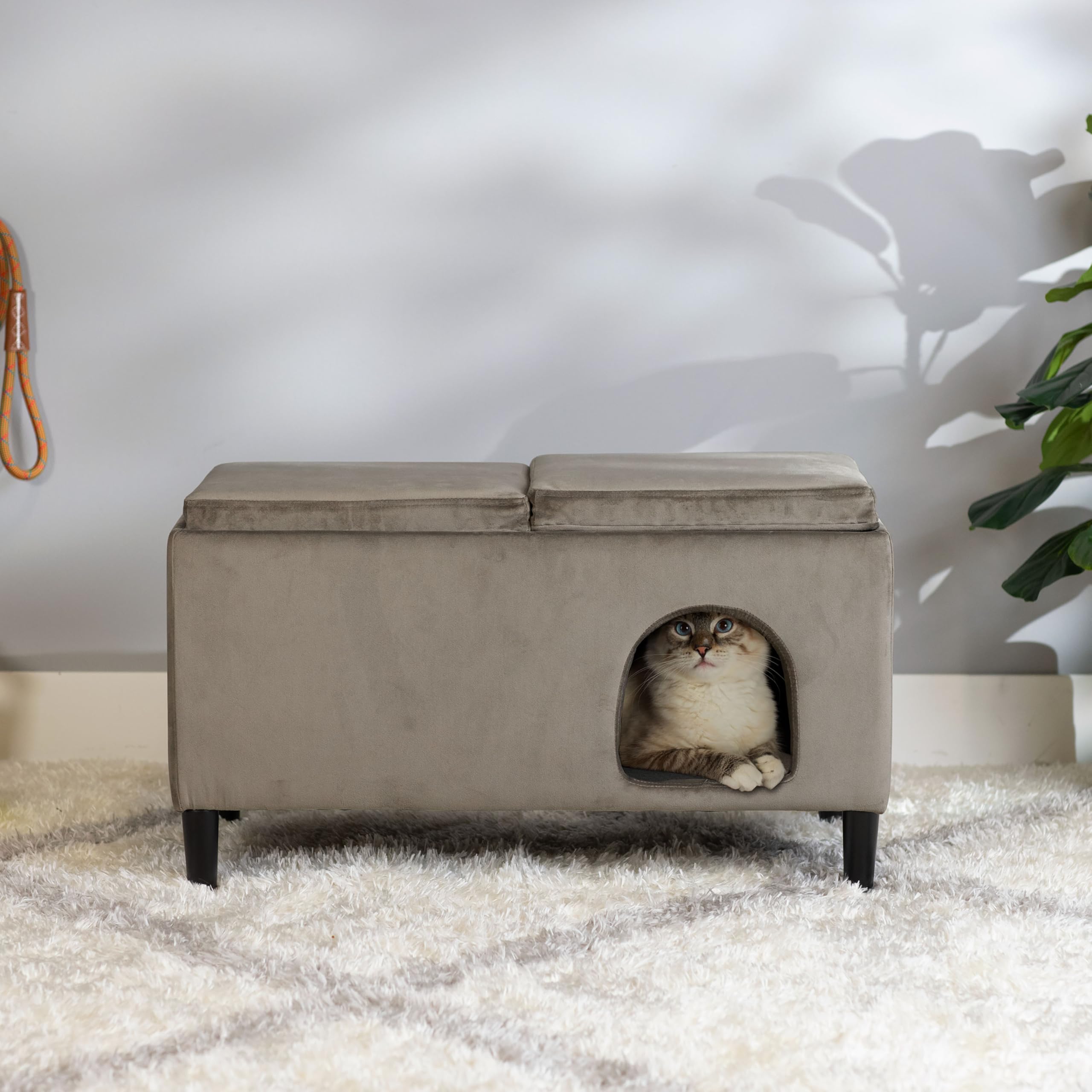 Paws & Purrs Modern 32'' Wide Pet Ottoman Bed For Small To Medium Dog Or Cat, 32.0'' L X 16.0'' W X 18.8'' Th, Ash