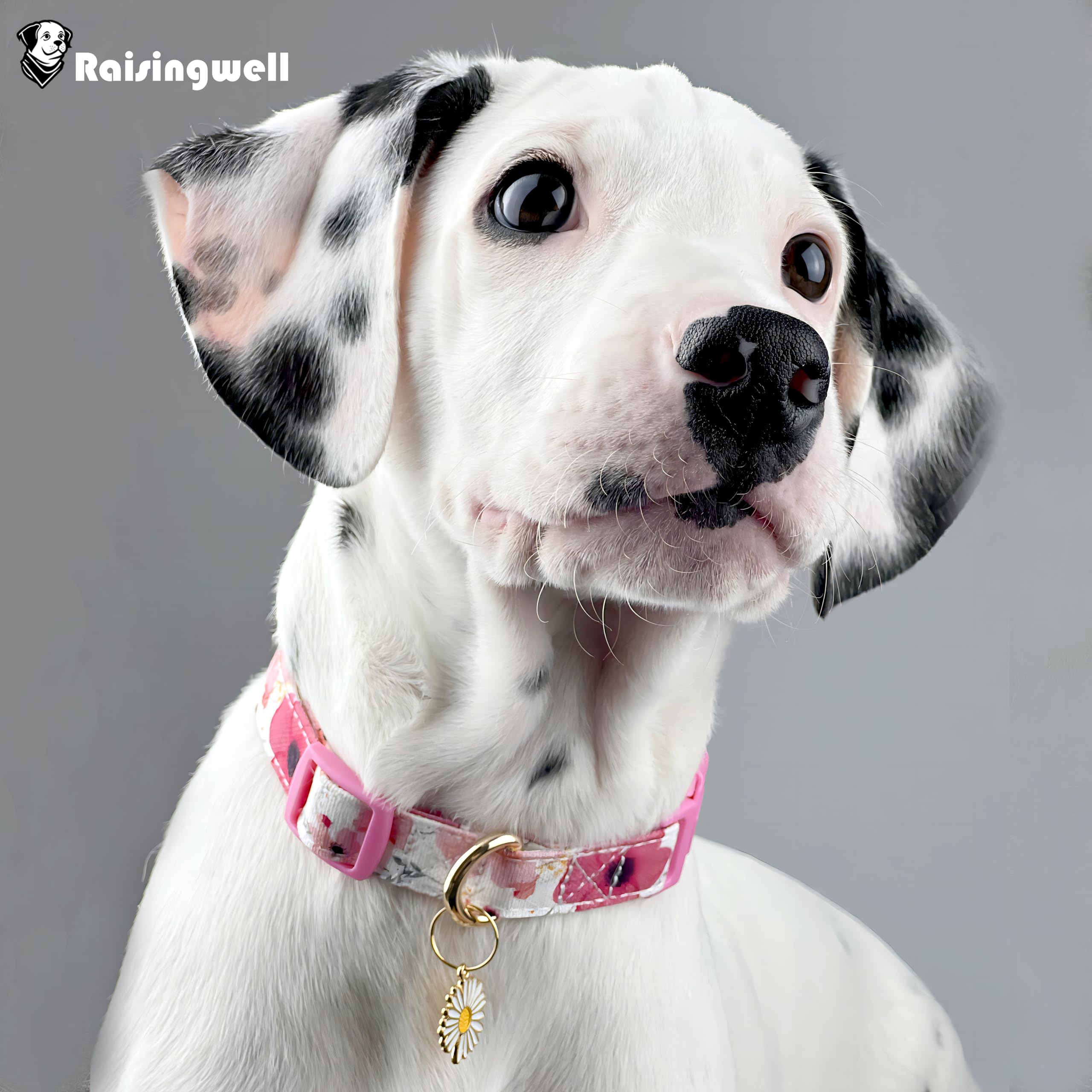 Raisingwell Cotton Dogs Collar Light Pink Flower Patterns For Boys And Girls Cute Dog Collars Summer Fall Gift Adjustable For Me