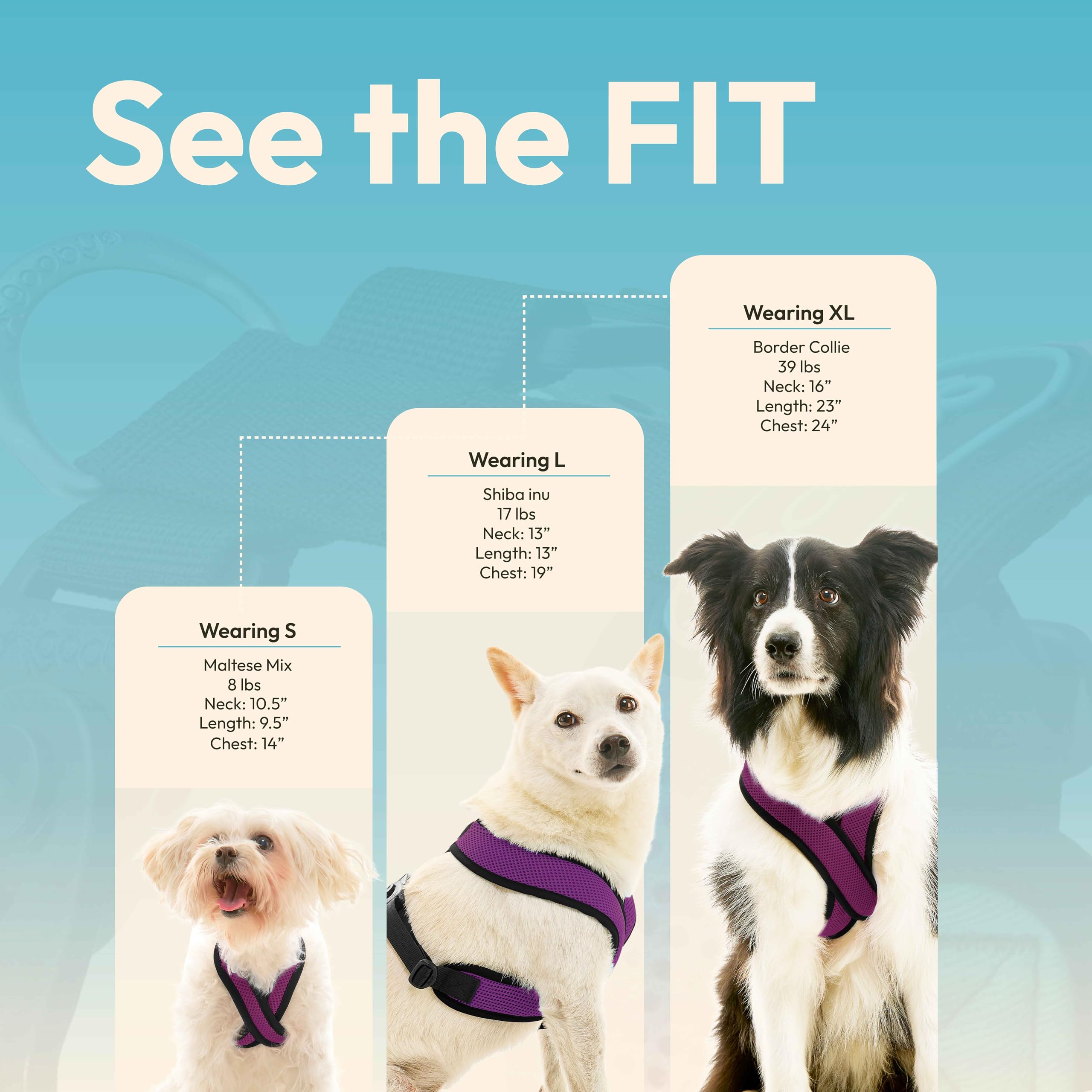 Gooby Comfort X Harness Dual Snap Mesh In Dog Harness - Violet, X-Large