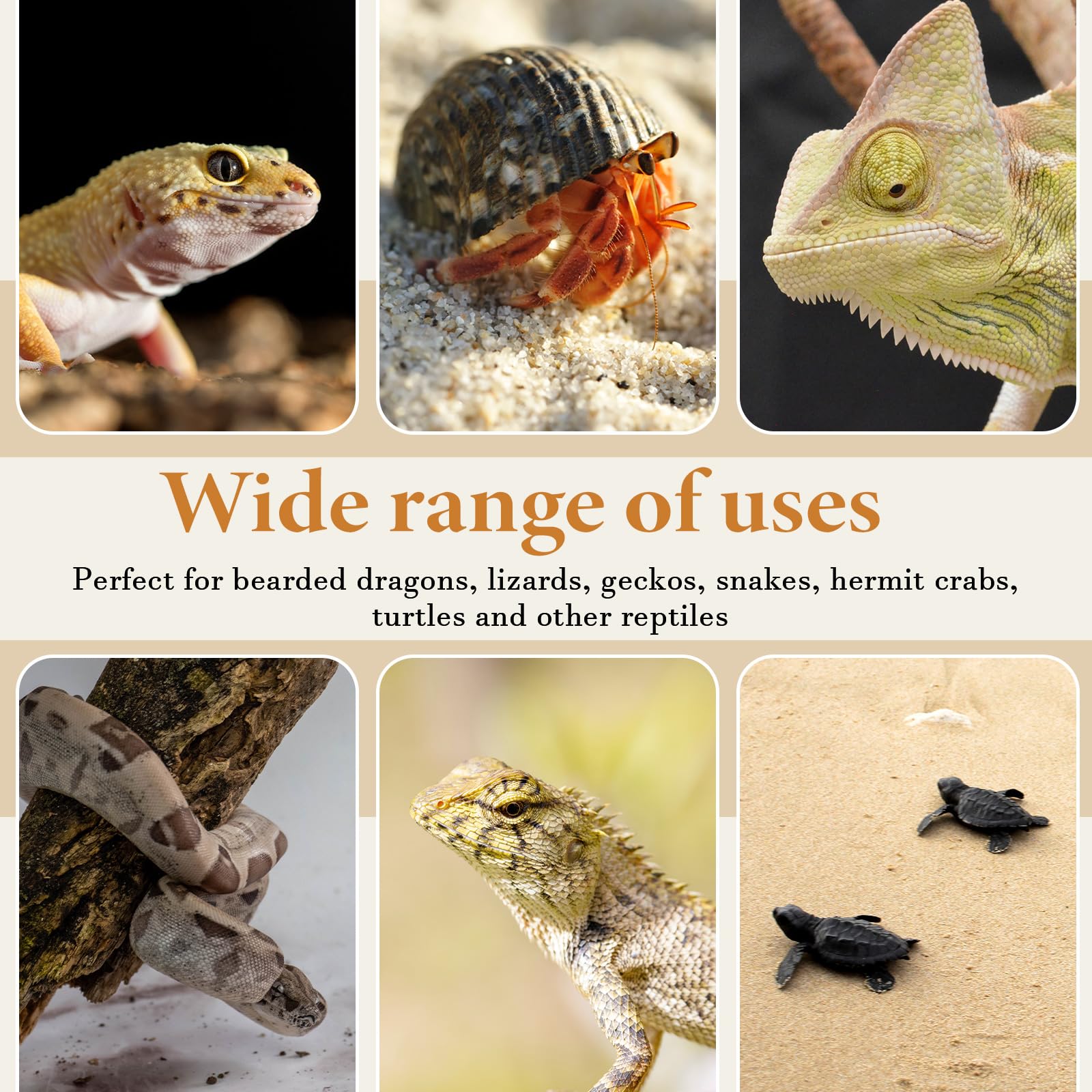 Triangle Bearded Dragon Hammock 16. 5 X 13 X 13 Inches Reptile Lounger With Metal Bracket Natural Seagrass Tank Accessories Larg