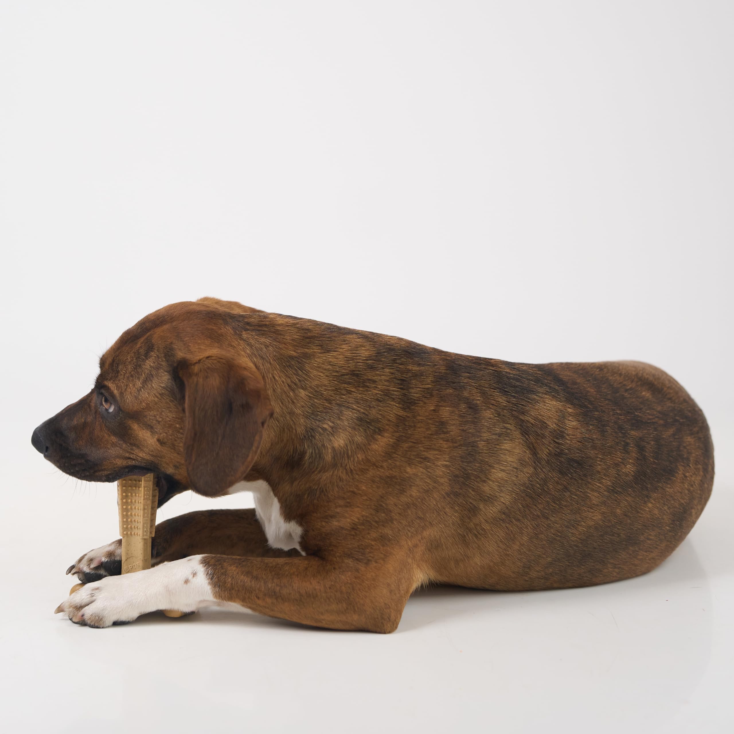 Spot Bambone Plus Chicken Dog Chew Toy Medium
