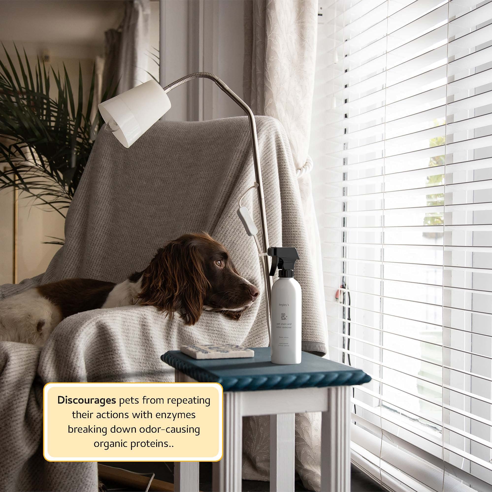 Begley'S Pet Stain And Odor Remover - Pet Odor Eliminator For Home - Pet Urine Enzyme Cleaner - Pet Carpet Cleaner For Pets - Enzymatic Cleaner For Dog Urine, Cat Pee, Feces - 24 Ounce, 2 Pack