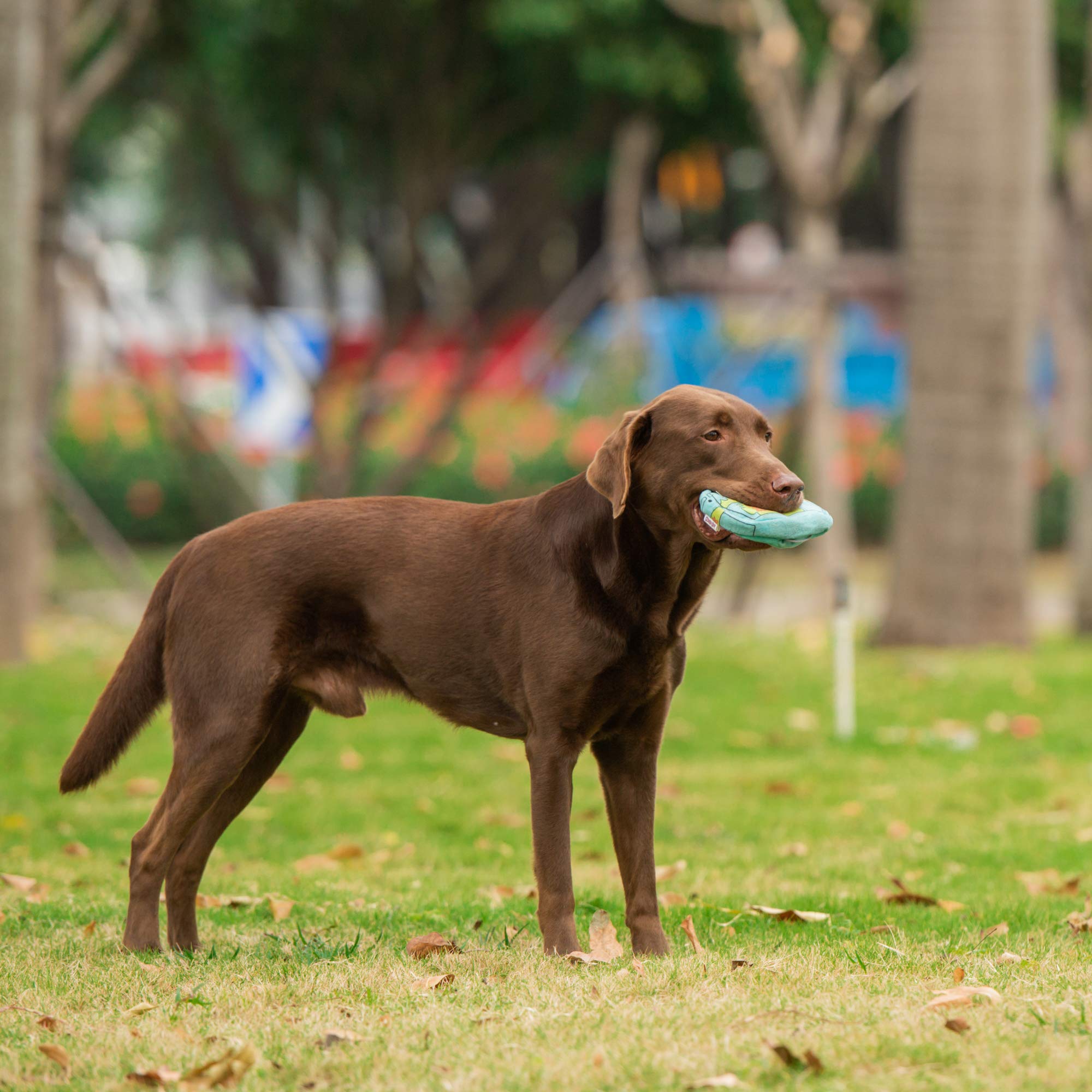 Scooby-Doo For Pets Mystery Machine Burrow Dog Fabric Toy | Hide And Seek Dog Toys For All Dogs, Interactive And Fun Dog Toy | Soft Dog Toy In Blue, Green, Orange, And Black