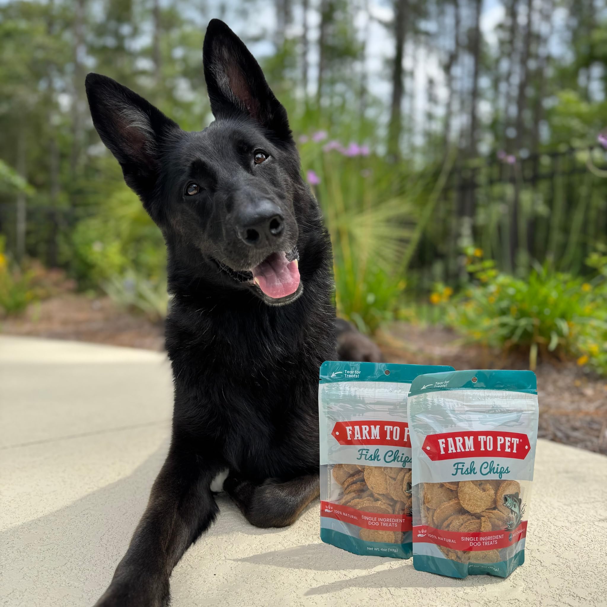 Farm To Pet - Dog Training Treats - 12 oz Fish Chips, Single Ingredient, Lean, All Natural, Healthy Treats for Small, Medium, La