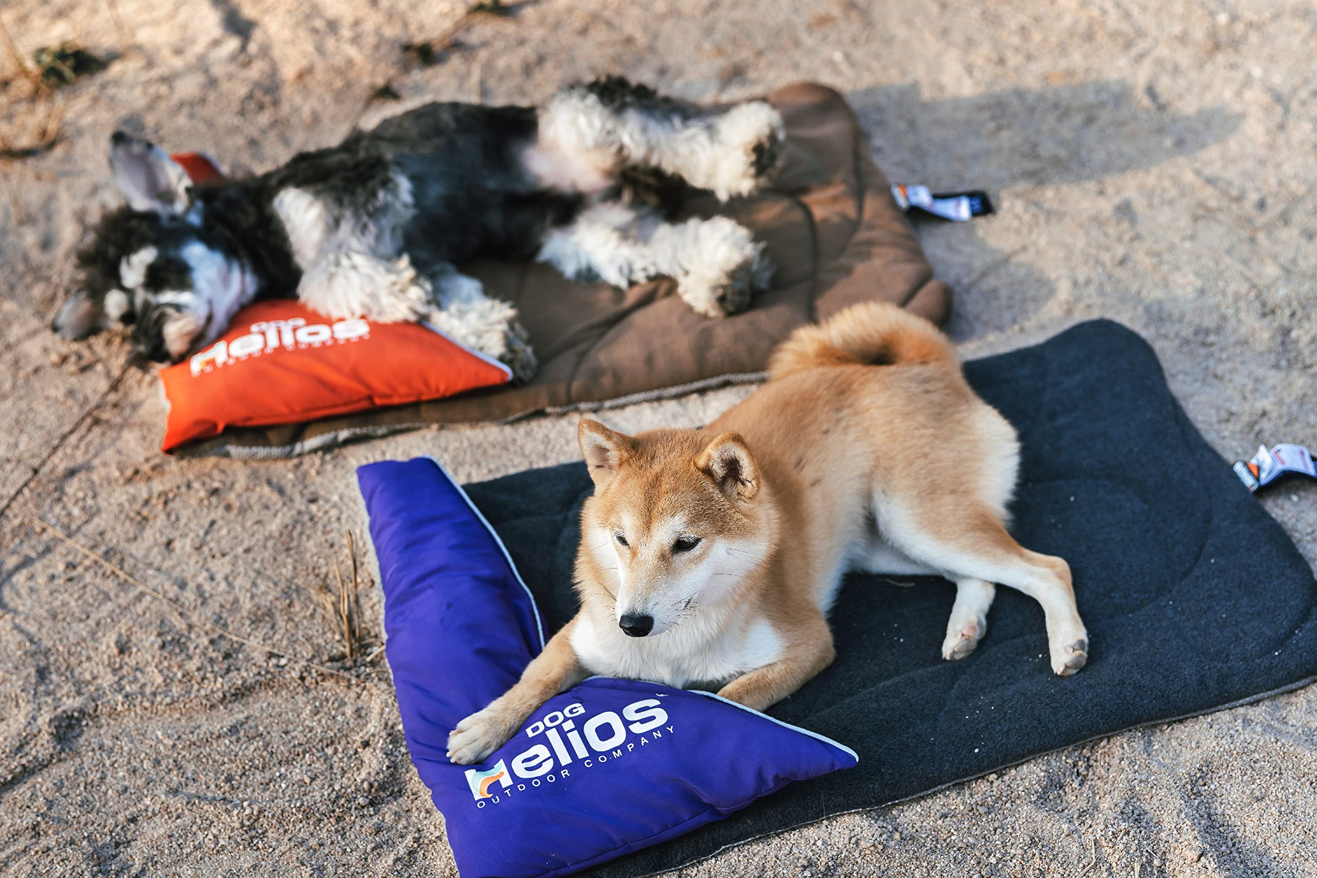 Dog Helios Expedition Sporty Travel Camping Pillow Dog Bed, Purple