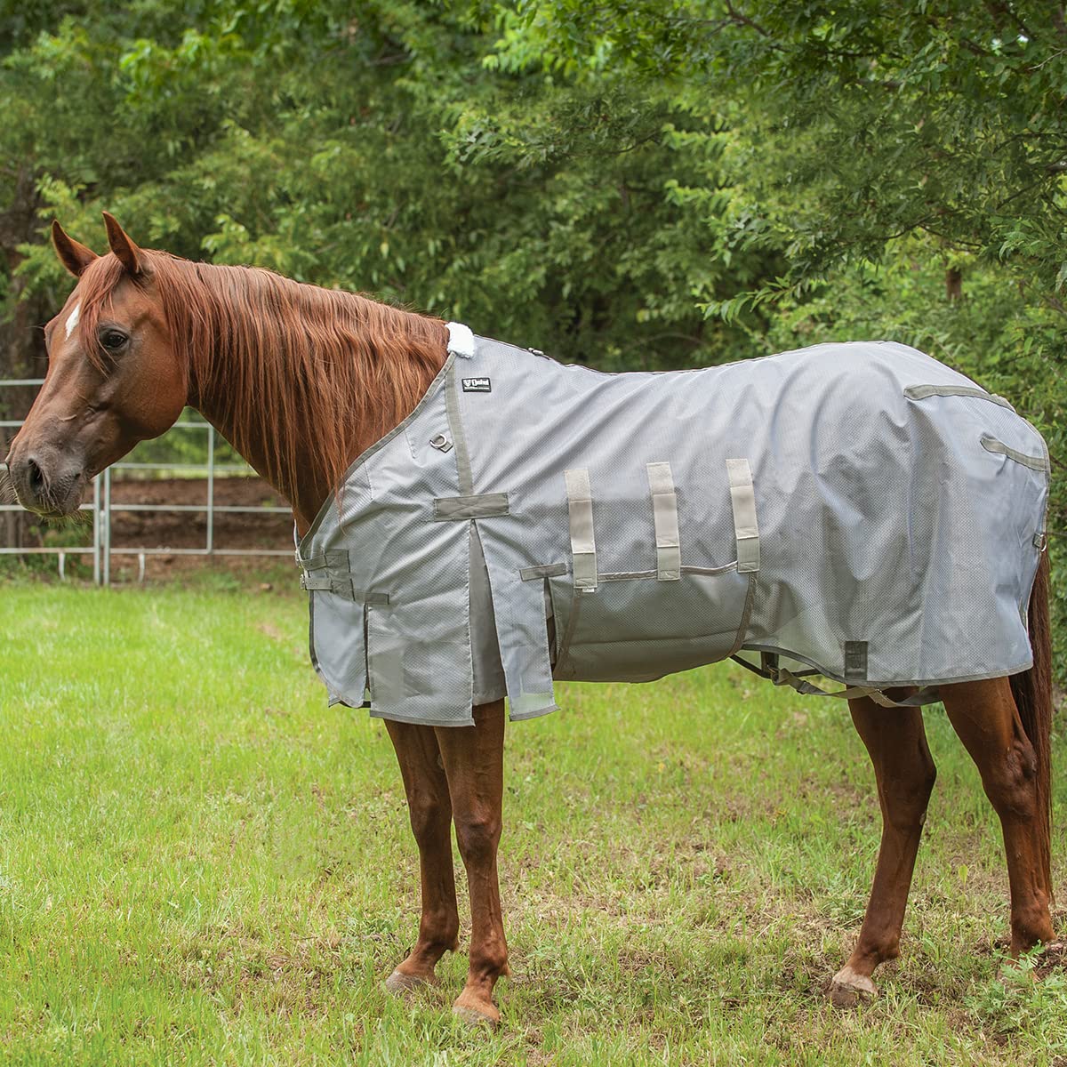Cashel Crusader Lightweight Fly Sheet 70-72In Gray