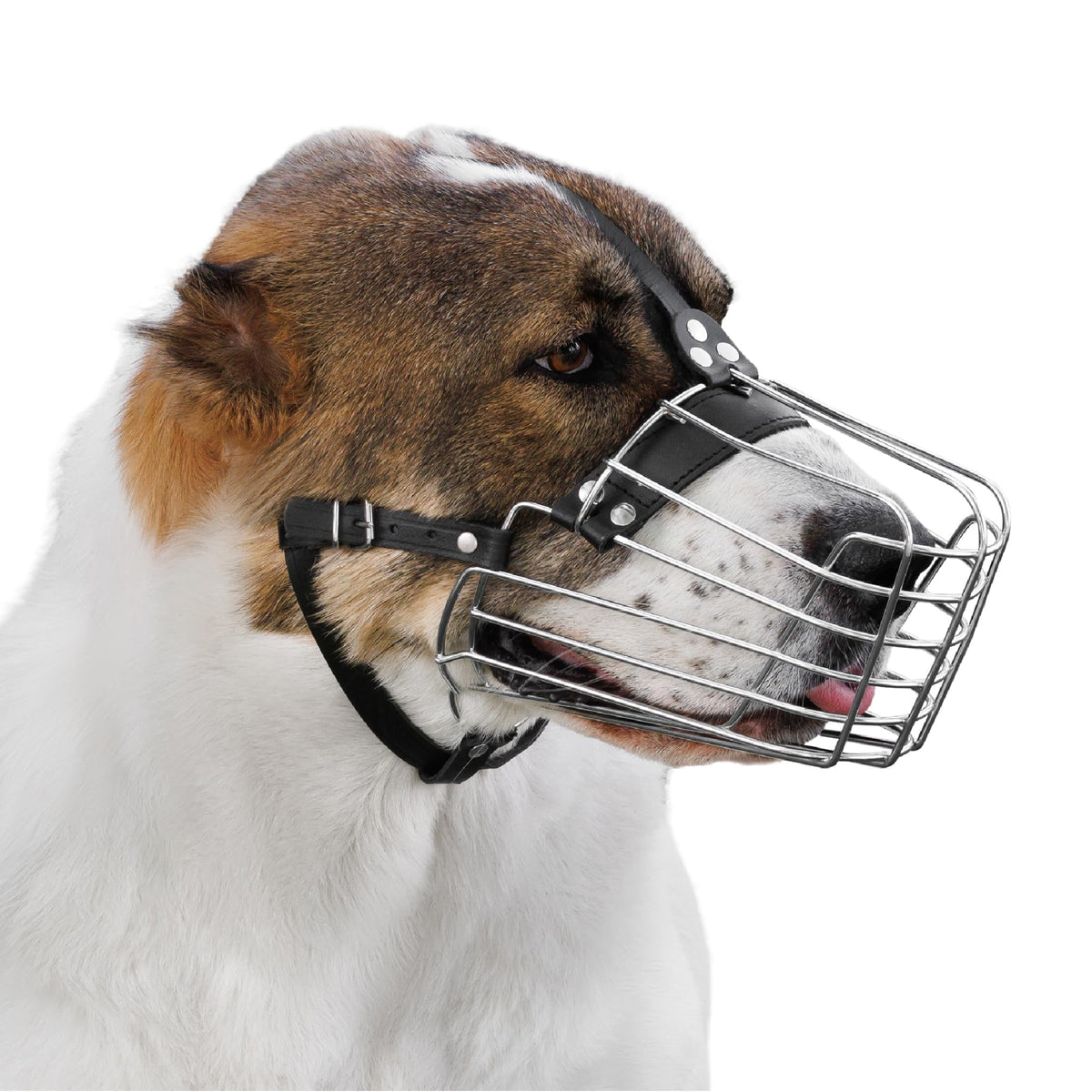 Bronzedog Dog Muzzle Wire Basket Metal Mask For Small, Medium And Large Dogs, Breathable, Dog Can Drink, Adjustable, Padded, Training, Prevents Biting (Size 7: Alabai & Maremma)