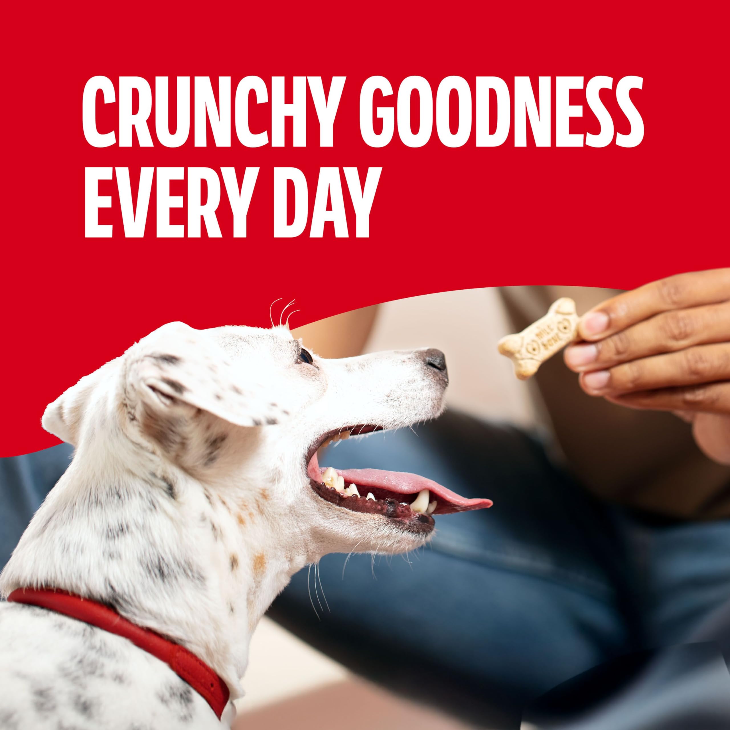 Milk-Bone Original Dog Treats Biscuits for Small Dogs, 24 Ounces (Pack of 12)