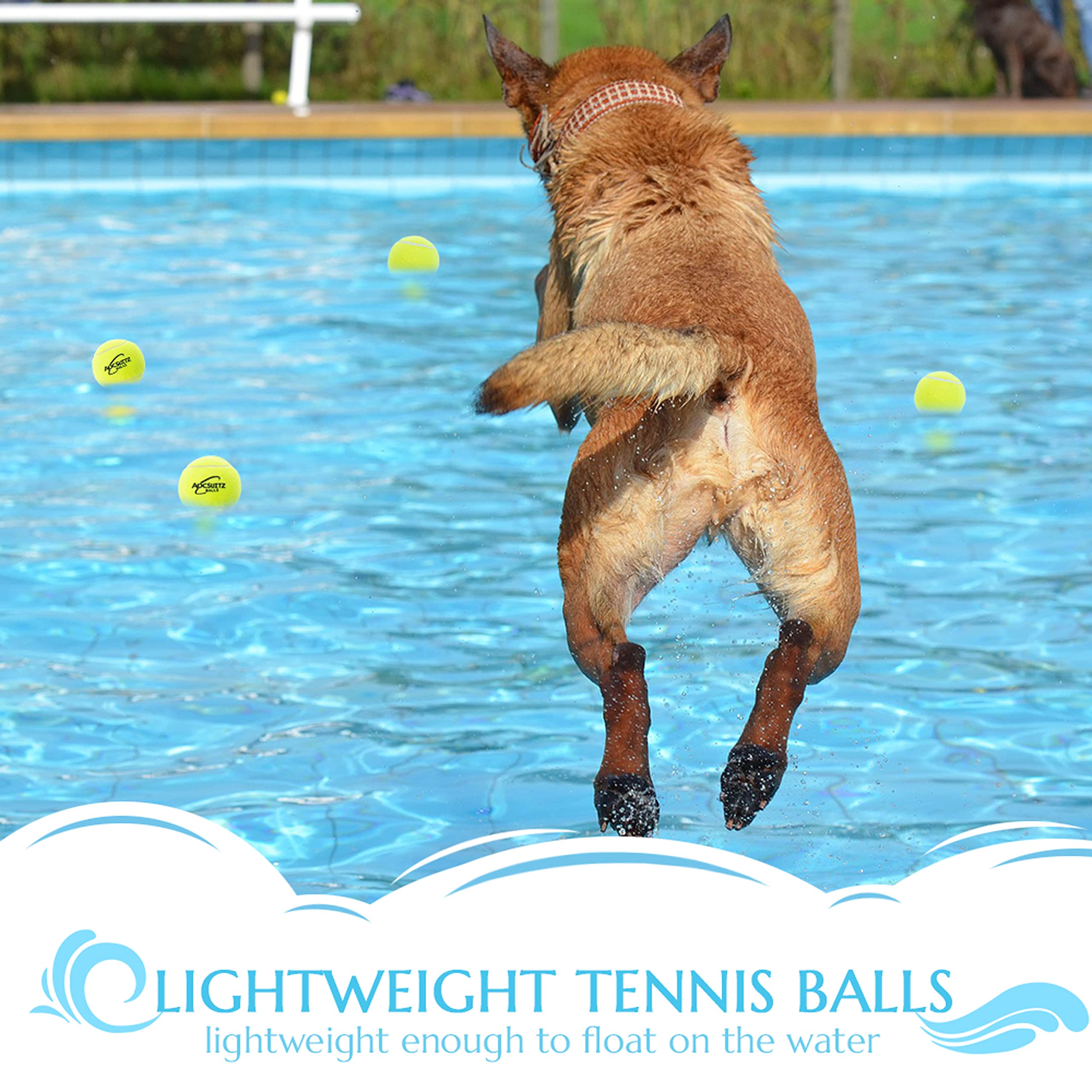 Adcsuitz Dog Tennis Balls - 12 Pack Squeaky Interactive Dog Toys Balls For Training Exercise Playing Indoor Outdoor - 2.5'' Funn