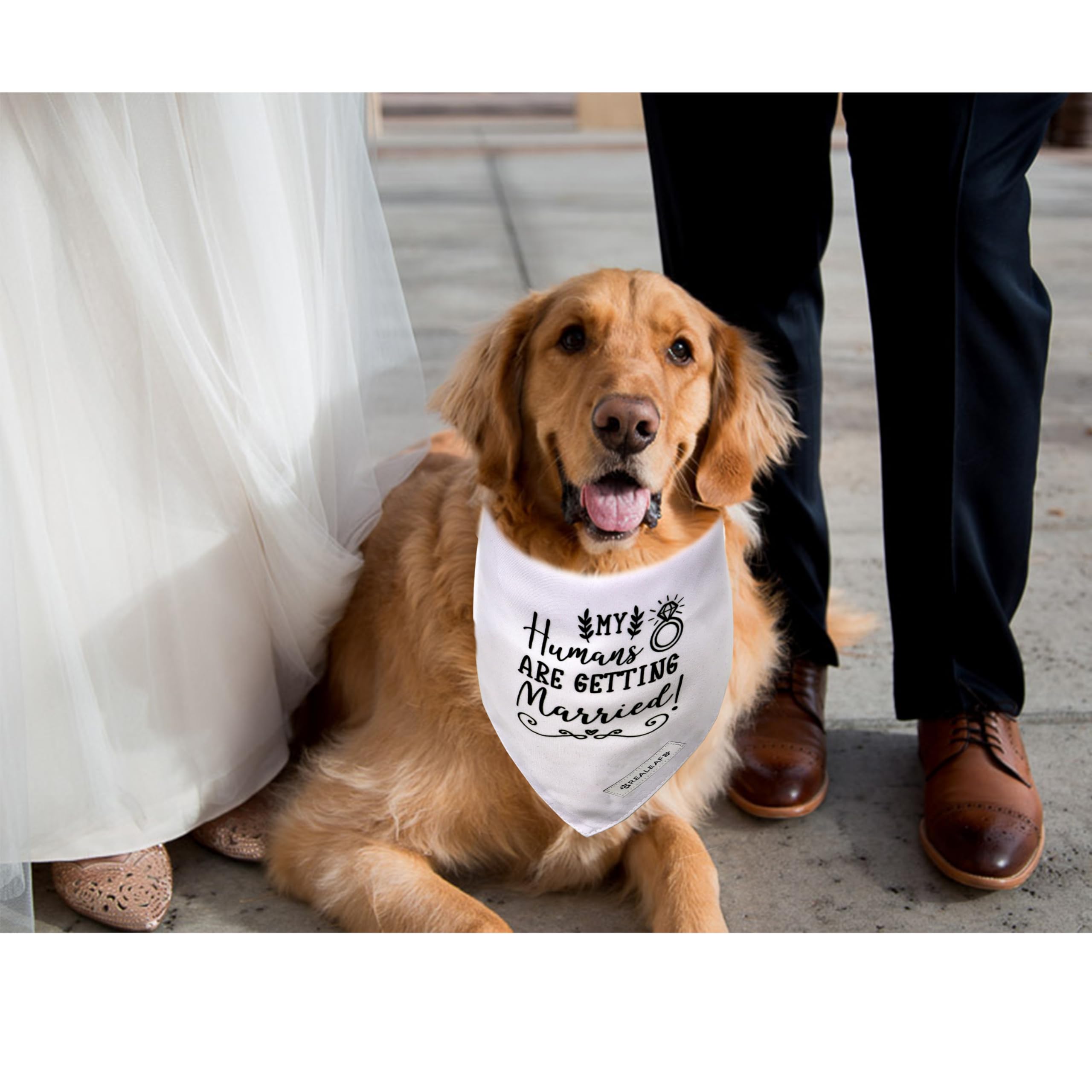Realeaf Engagement Gift, My Humans Are Getting Married Dog Bandana, Dog Wedding Outfit For Boy And Girl, Premium Durable Fabric,
