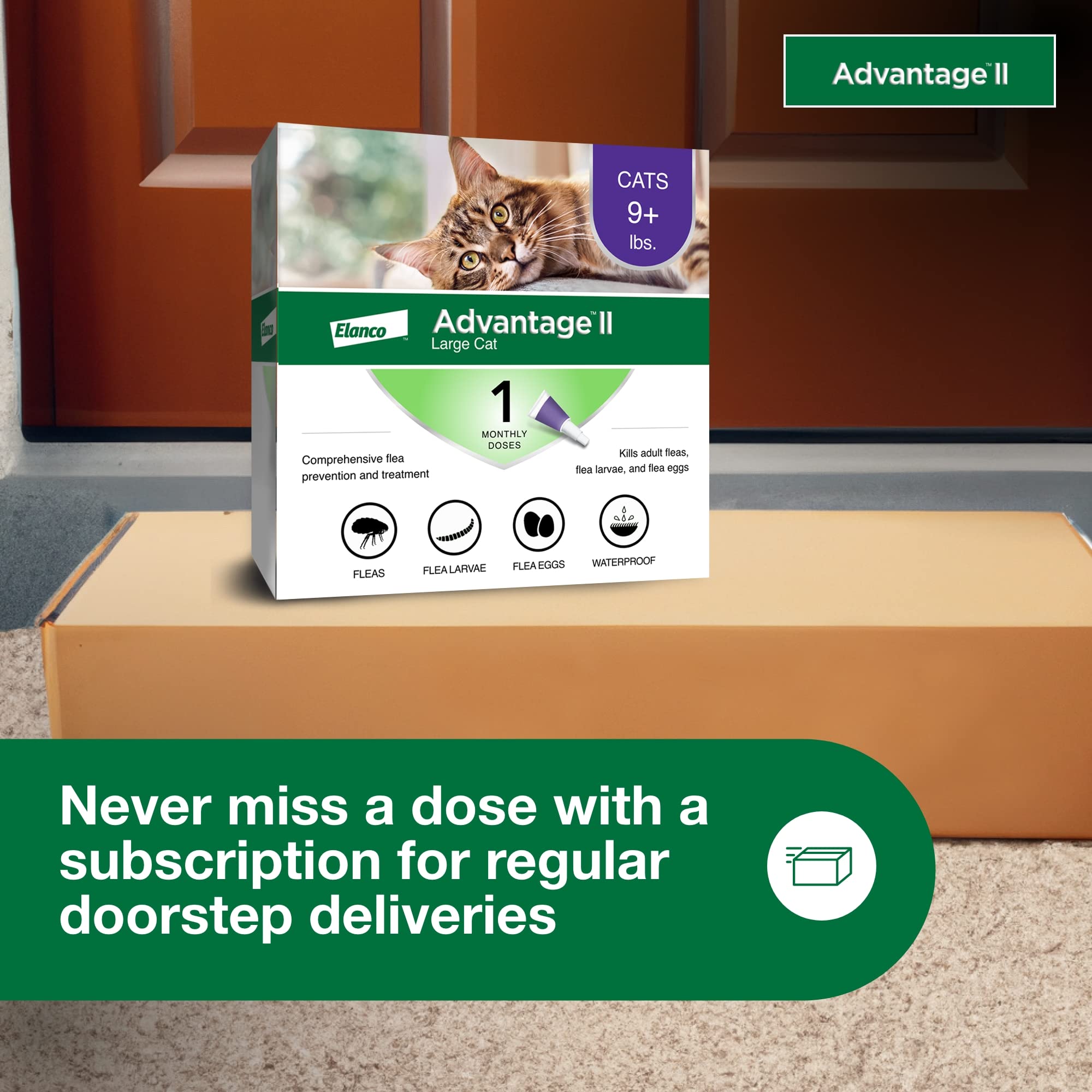 Advantage II Flea Treatment for Large Cats Over 9 lbs - 1-Month Supply, Vet-Recommended, Effective Prevention