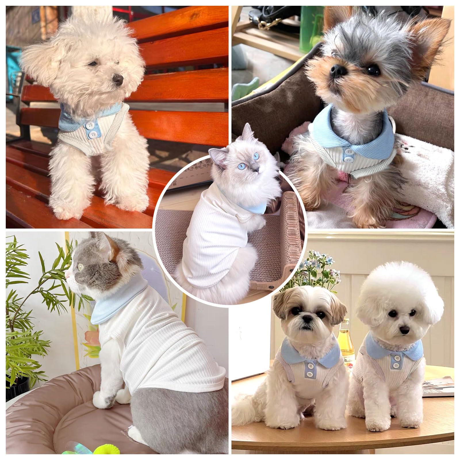 Axiijgl Dog Tshirts For Small Dogs Polo Shirt Stretchy Dog T Shirt Breathable Dogs Cooling Vest Sweatshirts Girl Boy Puppy Dachs