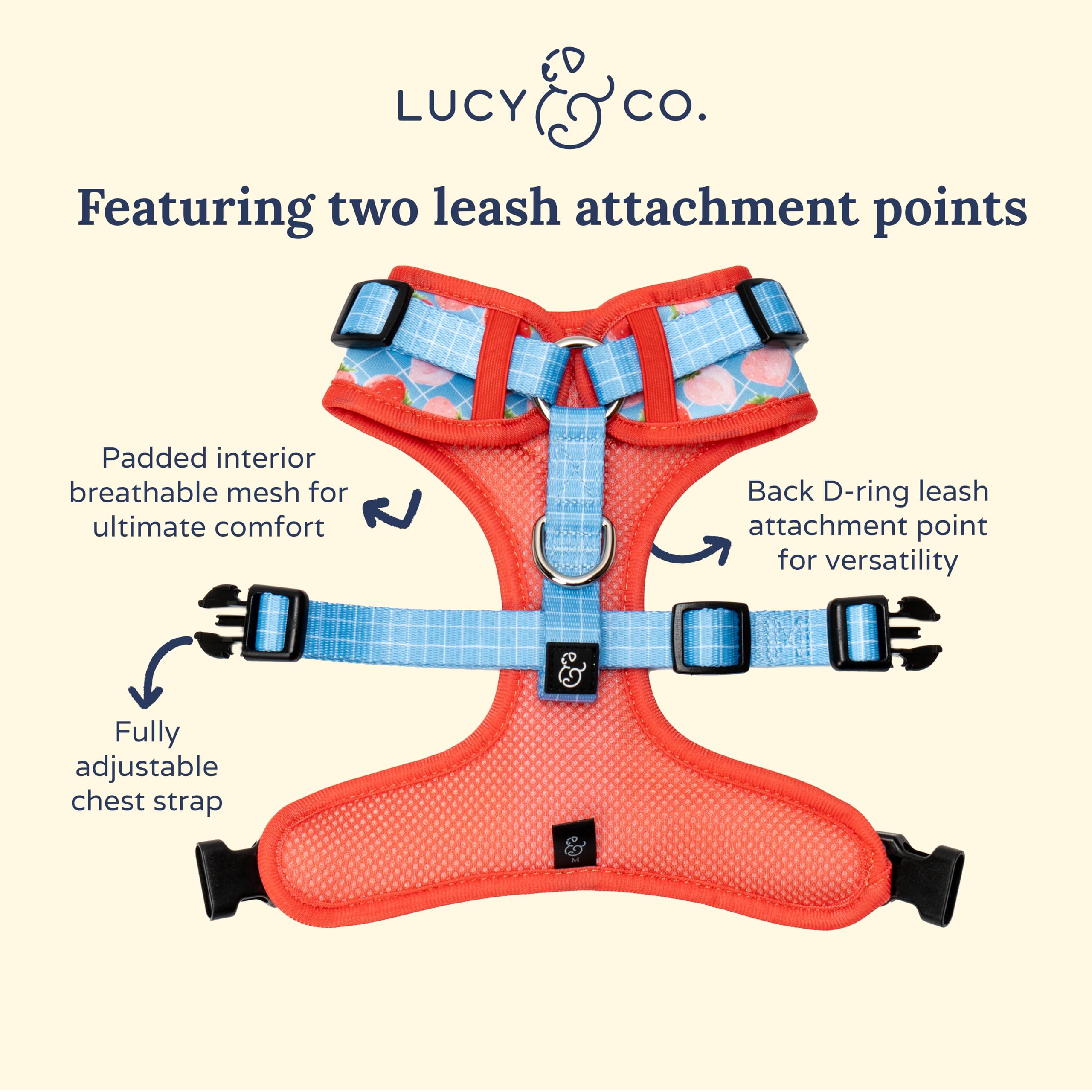 Lucy & Co. The Fresh Berries No-Pull Dog Harness - Size Small- Vest to Stop Pulling & Walk Easy - Comfortable Leash Training Pro