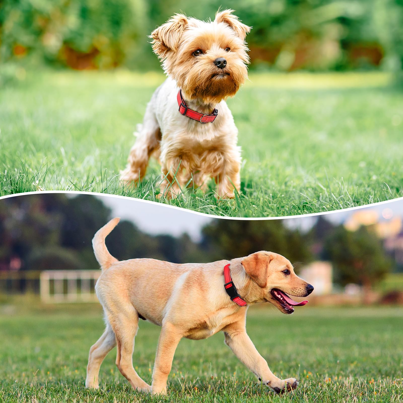 Penseepet Reflective Dog Collar Padded With Soft Neoprene Breathable Quick Release Basic Dog Collars For Medium Large Dogs Red Boy Girl