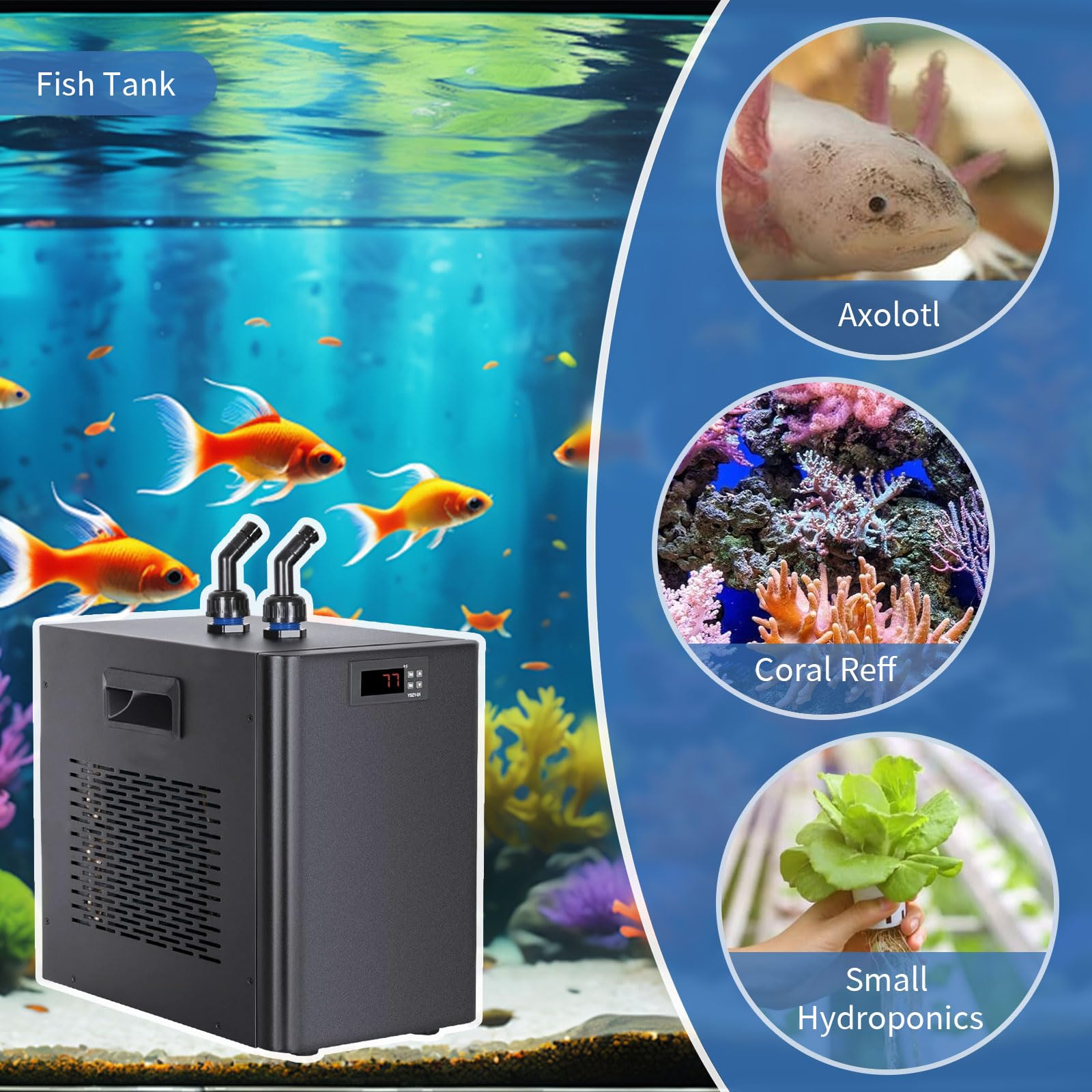 Dialorys 42 Gallon 1/10HP Aquarium Chiller - Energy Efficient Fish Tank Water Chiller for Axolotl, Freshwater & Saltwater Tanks,