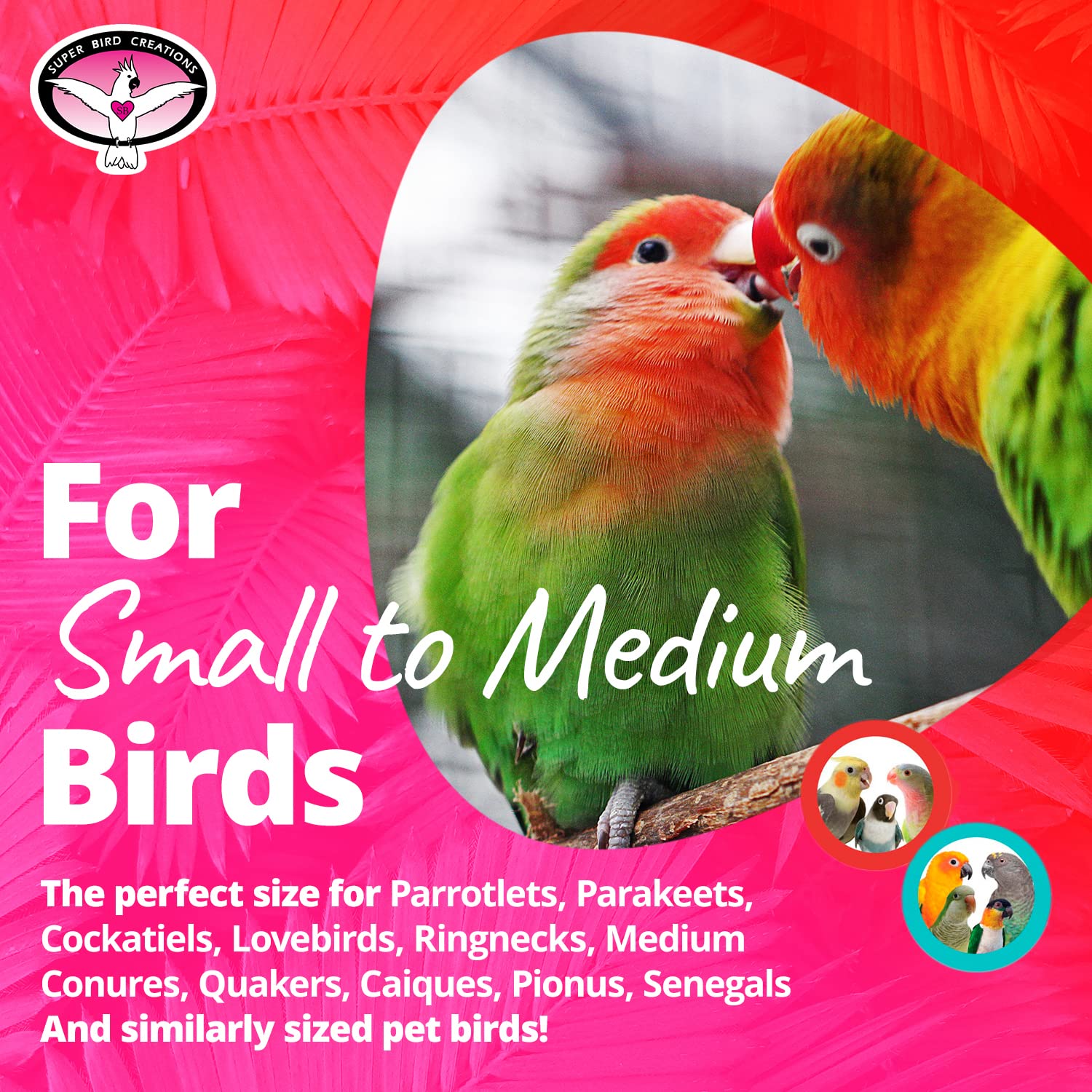 Super Bird Creations SB476 Mini Stainless Steel Foraging Treat Cage -Ideal Bird Training Toy Enriched Playtime - Canary, Finch,