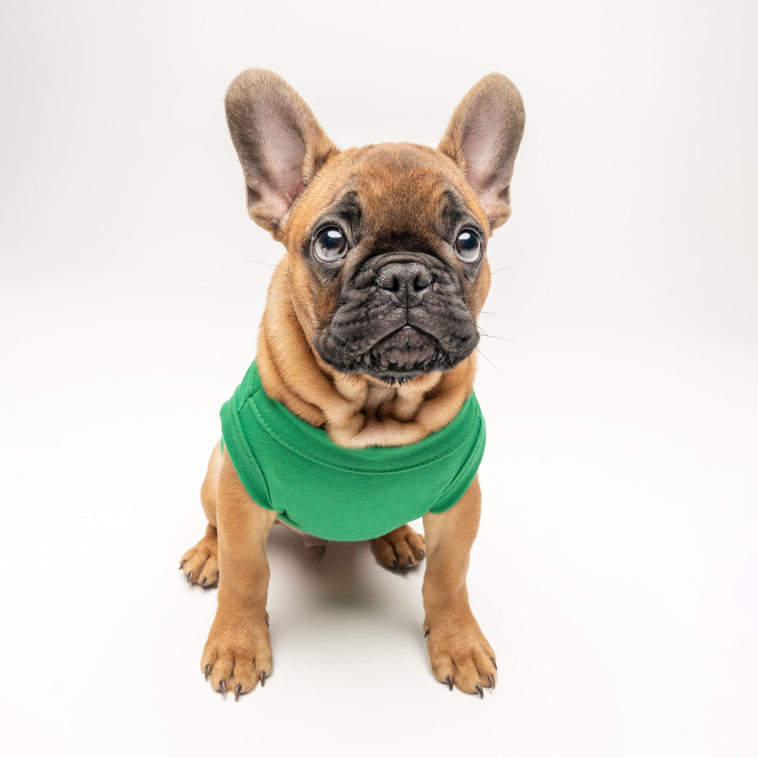 Soon To Be Big Brother Dog Tee Shirt | Sleeveless | Pregnancy Announcement | New Baby | Gender Reveal | Photoshoot (Green, Mediu