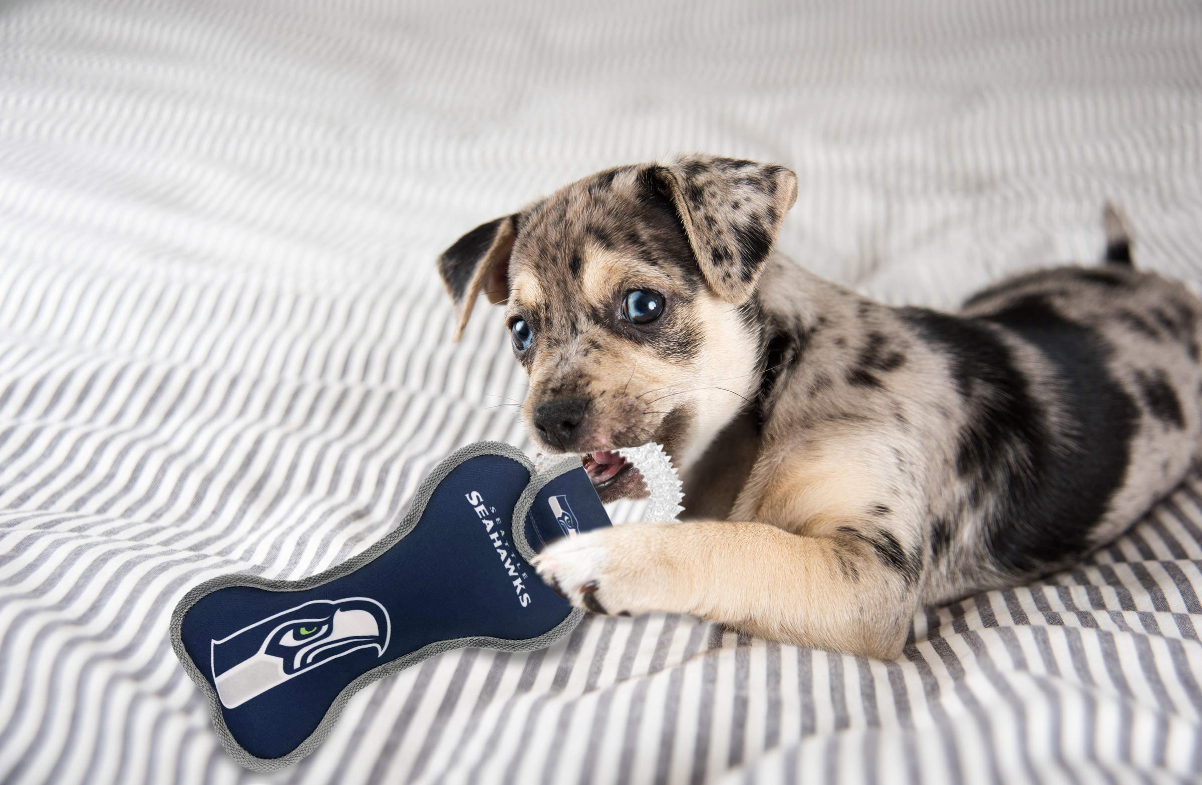 Pets First NFL Seattle Seahawks Dental Dog TUG Toy with Squeaker. Tough PET Toy for Healthy Fun, Teething & Cleaning Pet's Teeth