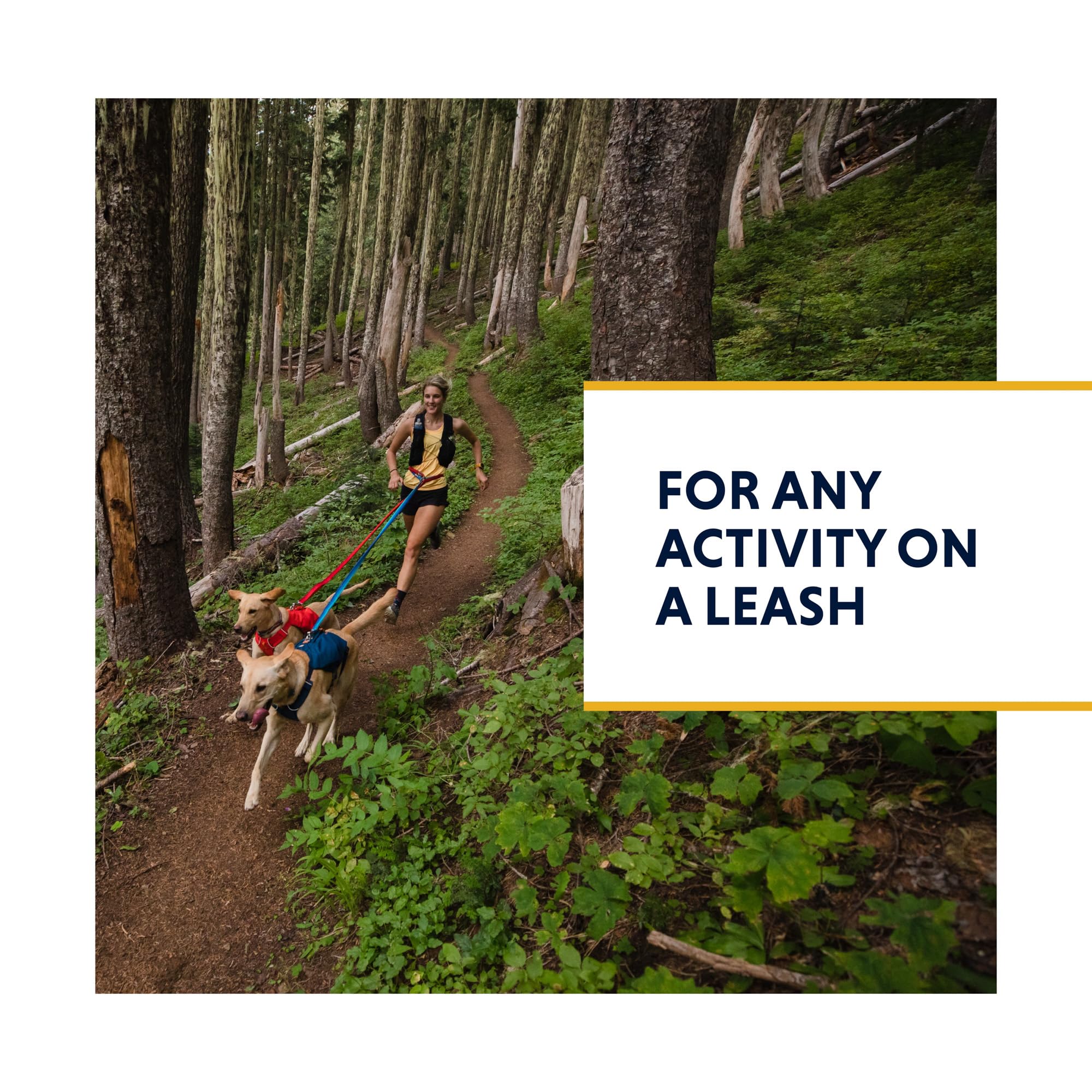 Ruffwear, Switchbak Dog Leash, Convertible & Adjustable Lead For Everyday Use, Basalt Gray