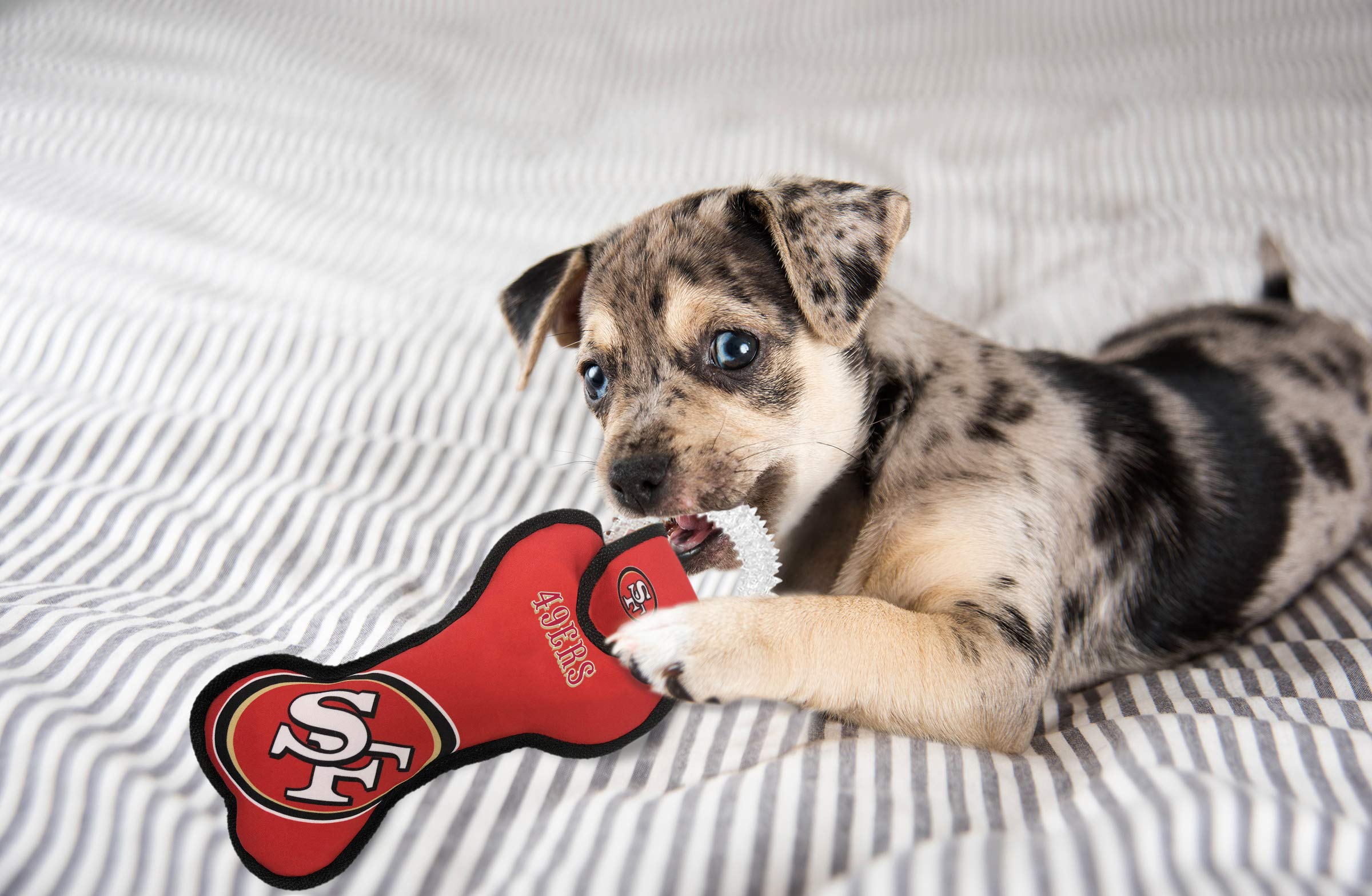 Pets First NFL SAN Francisco 49ERS Dental Dog TUG Toy with Squeaker. Tough PET Toy for Healthy Fun, Teething & Cleaning Pet's Te