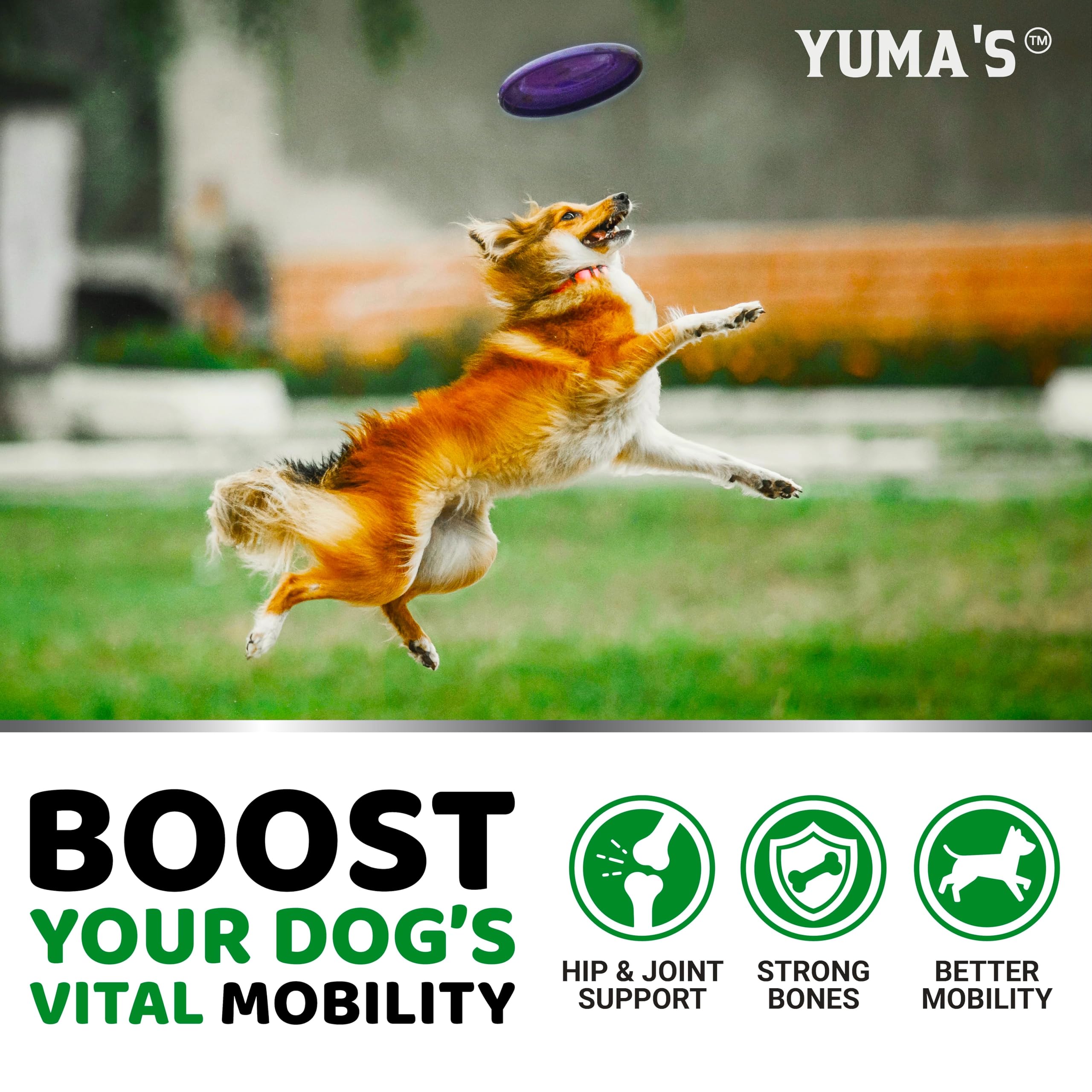 YUMA S Glucosamine for Dogs - Hip and Joint Supplement for Dogs - 170 Ct - Glucosamine Chondroitin Chews - Joint Pain Relief Su