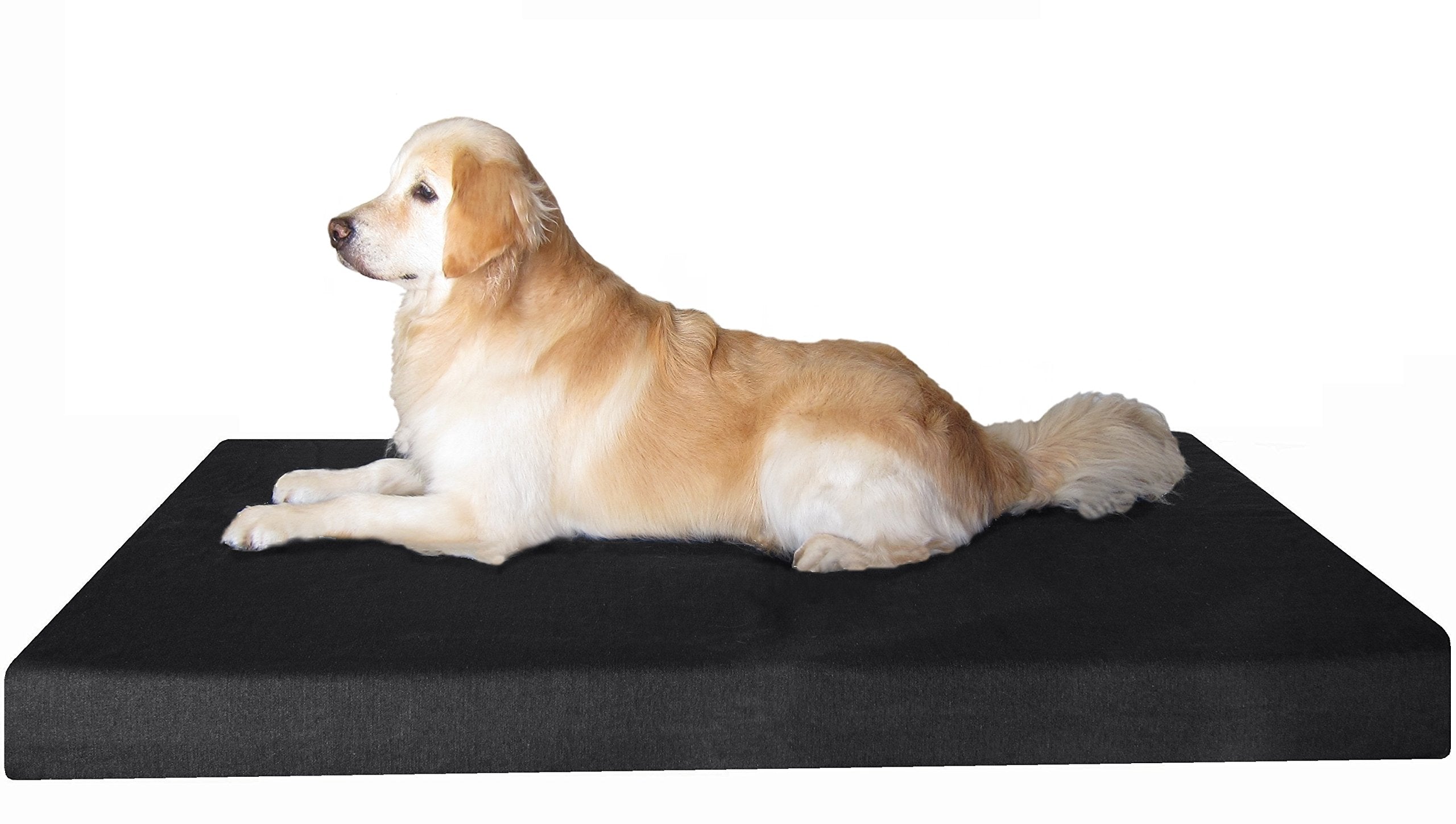 Dogbed4Less Extra Large Orthopedic Gel Infused Cooling Memory Foam Dog Bed, Waterproof Liner With Durable Black Canvas Cover, Xxl 55X37X4 Inch