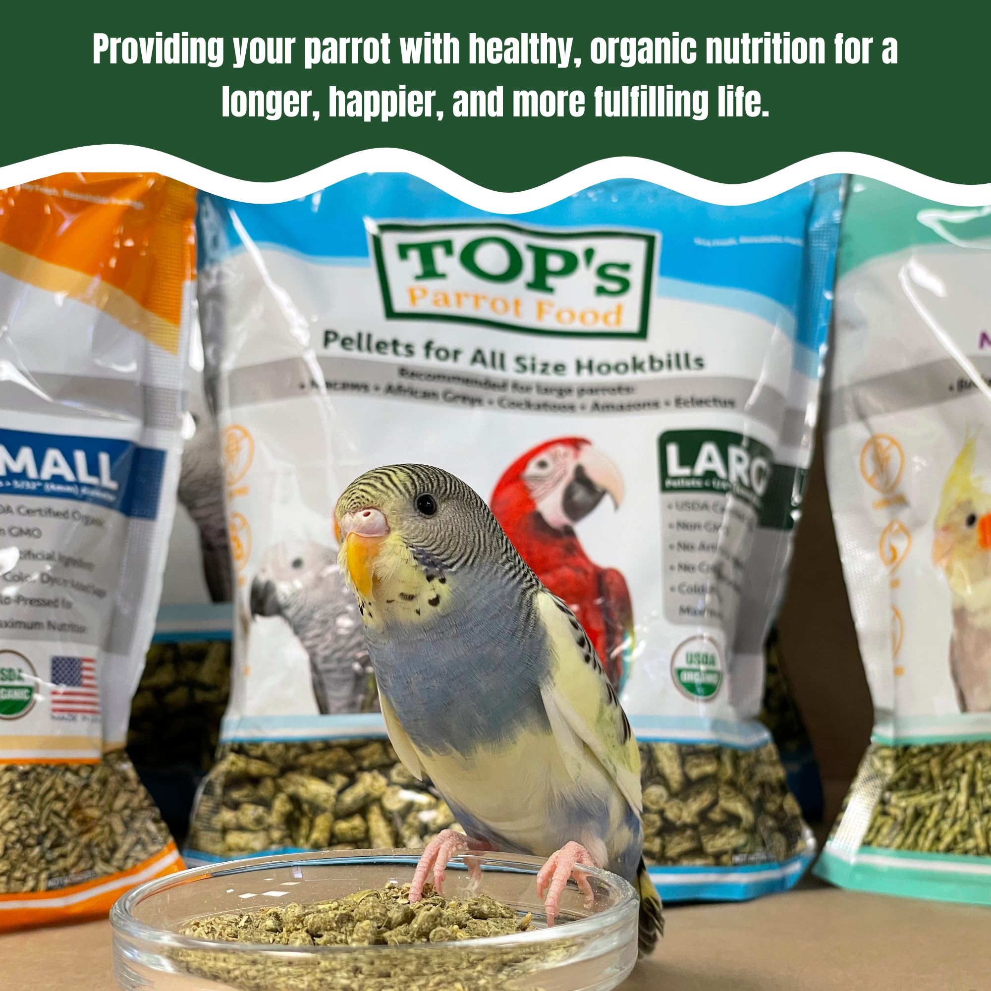 TOPs Parrot Food Mini Pellets Bird Food for Budgies, Cockatiels, Parrotlets, Lovebirds, Parakeets - Non-GMO, Peanut Soy & Corn
