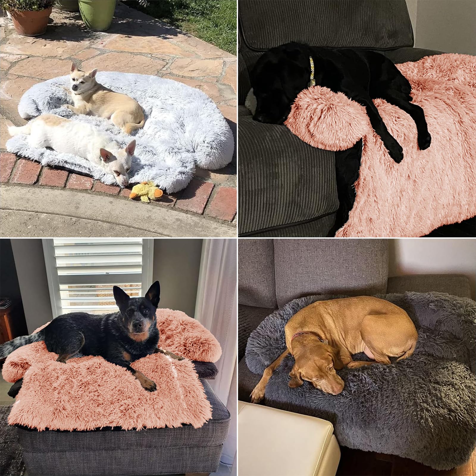 Ggib Calming Dog Bed Fluffy Plush Dog Mat For Furniture Protector With Removable Washable Cover For Large Medium Small Dogs And Cats (Large, Pink)