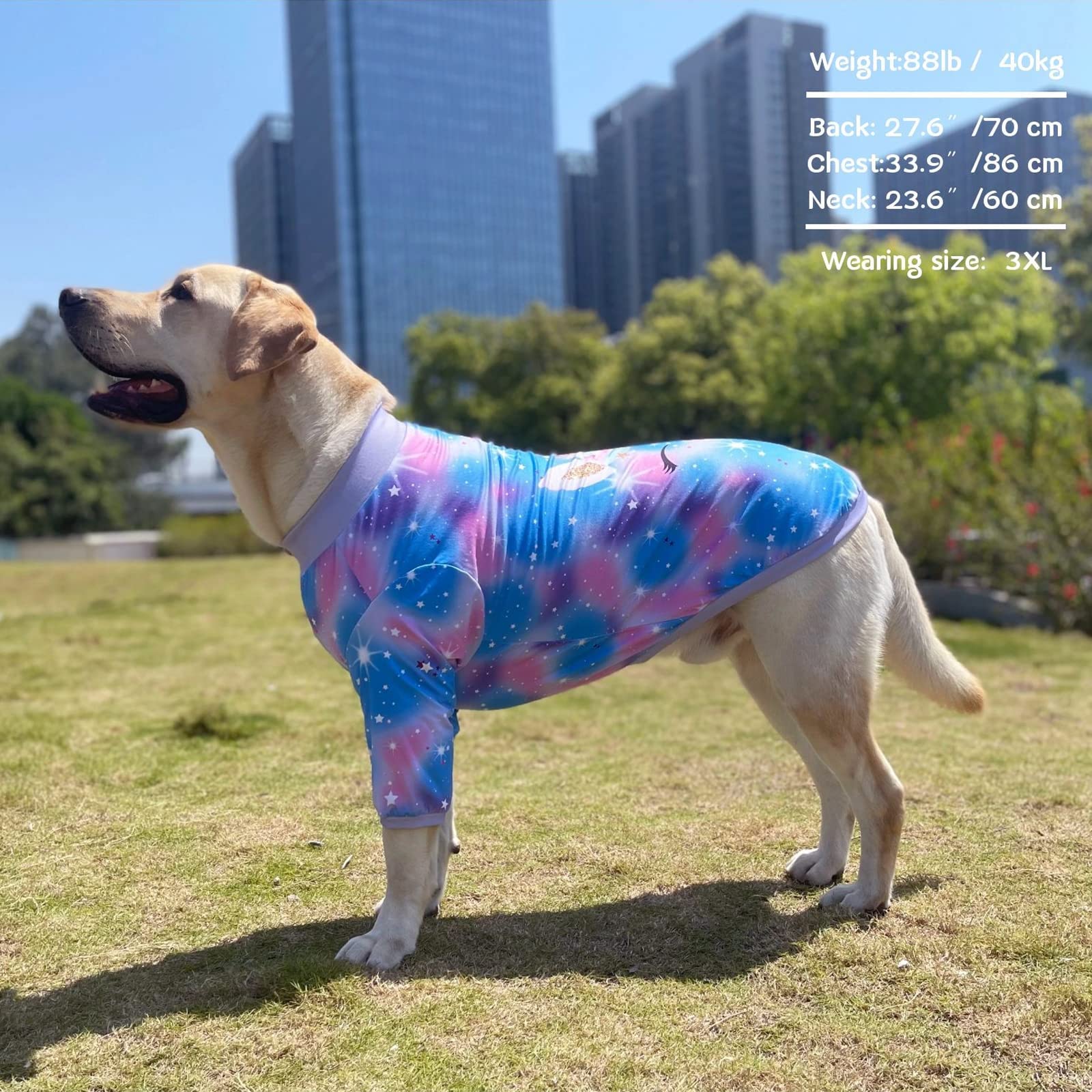PriPre Dog Blue Purple Tiedye T Shirts Shining Unicorn Pattern Printed Pet Shirt Softable Pajamas for Medium Dogs (M, Blue)