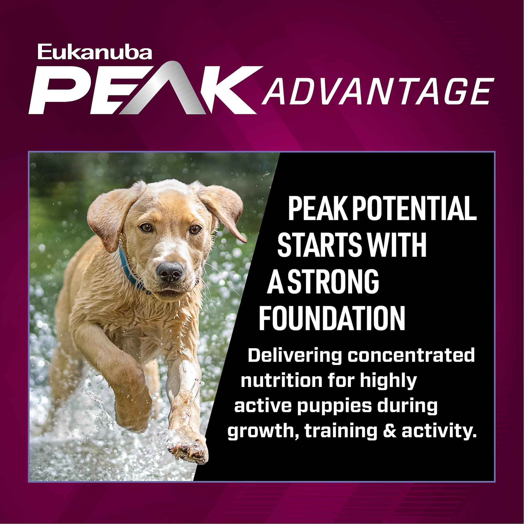 Eukanuba Premium Performance Puppy Pro Puppy Dry Dog Food, 4 lb Bag