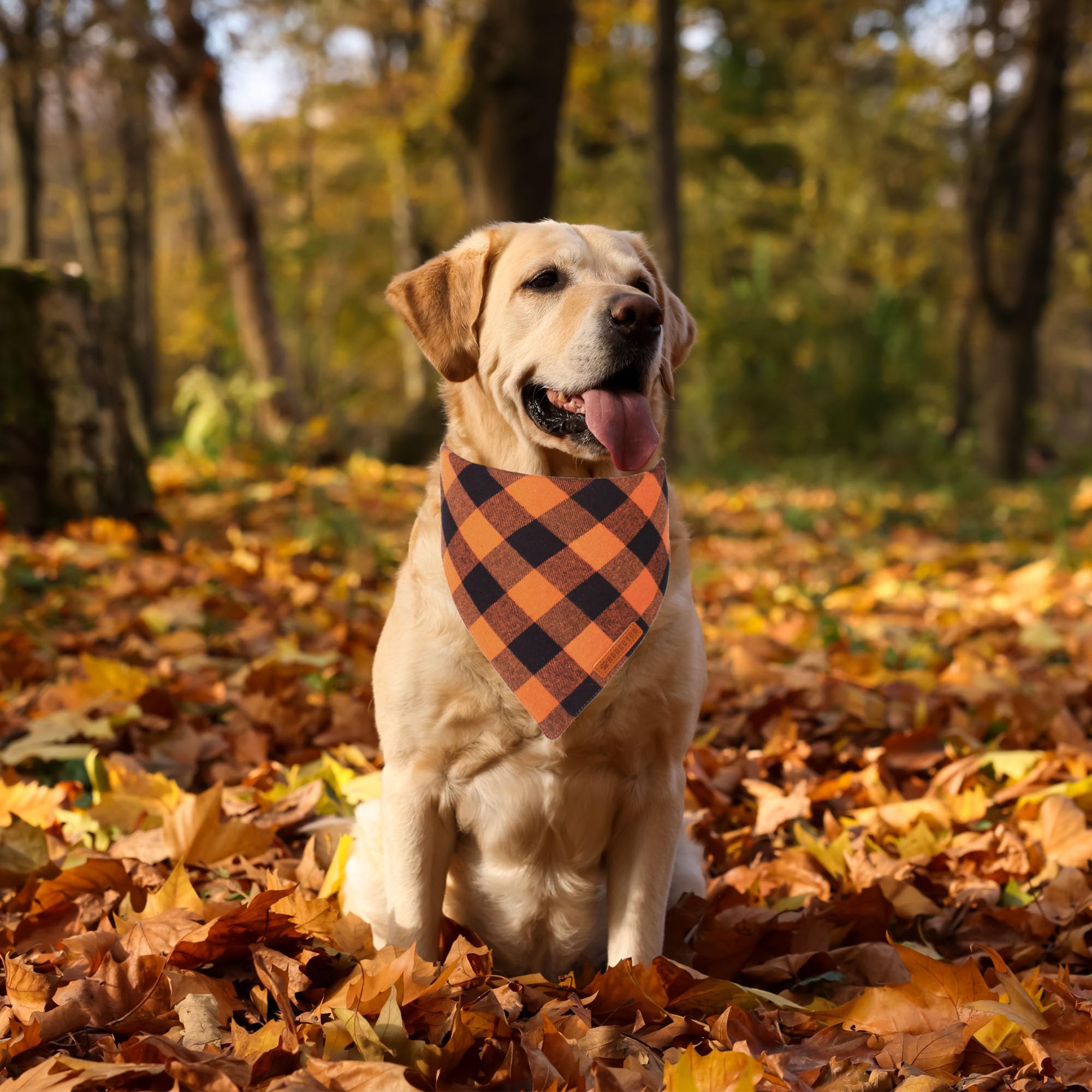 Adoggygo Fall Dog Bandanas 2 Pack, Halloween Thanksgiving Dog Bandana, Orange Plaid Dog Scarf, Multiple Sizes Offered, Holiday Fall Bandana For Large And X-Large Dogs (X-Large, Fall)