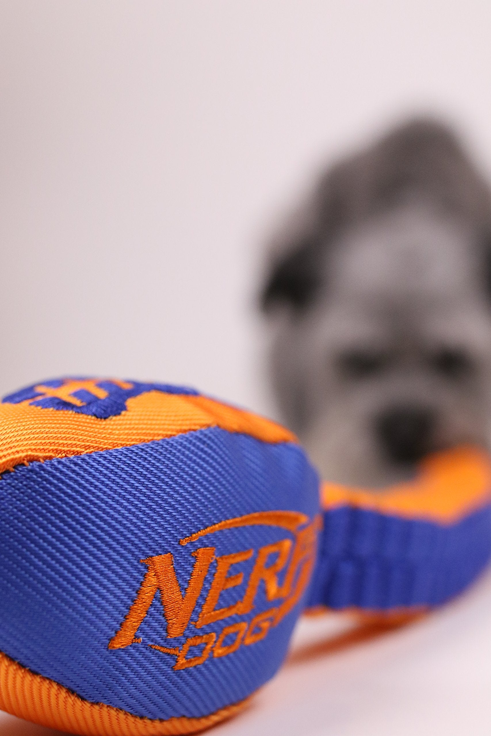 Nerf Dog Vortex Chain Tug Dog Toy With Squeaker Football Head, Lightweight, Durable, Water Resistant, 30 Inches, For Medium To Extra-Large Breeds, Single Unit (3474)