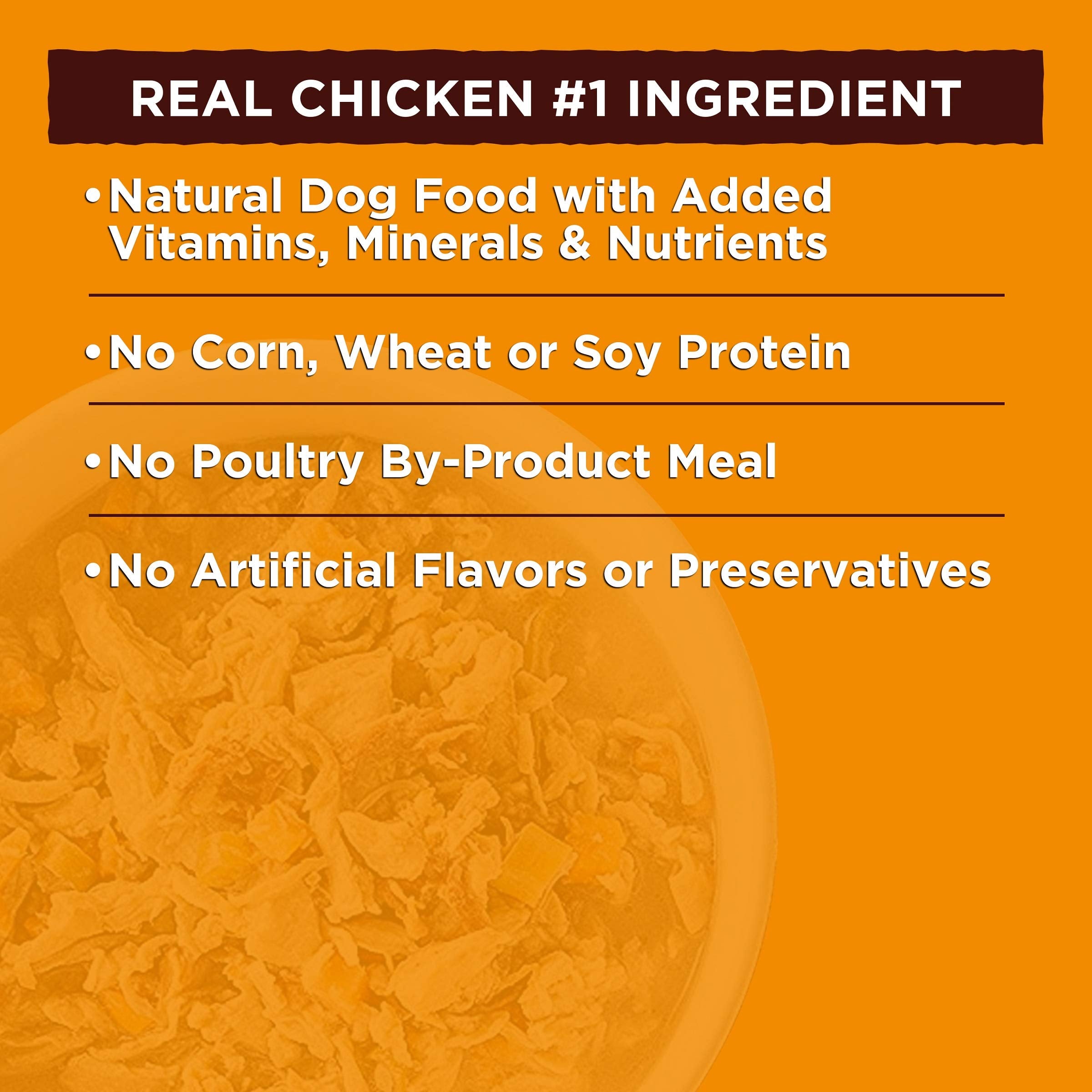 Natures Recipe Wet Dog Food, Chicken & Wild Salmon in Broth Recipe, 2.75 Ounce Cup (Pack of 12)