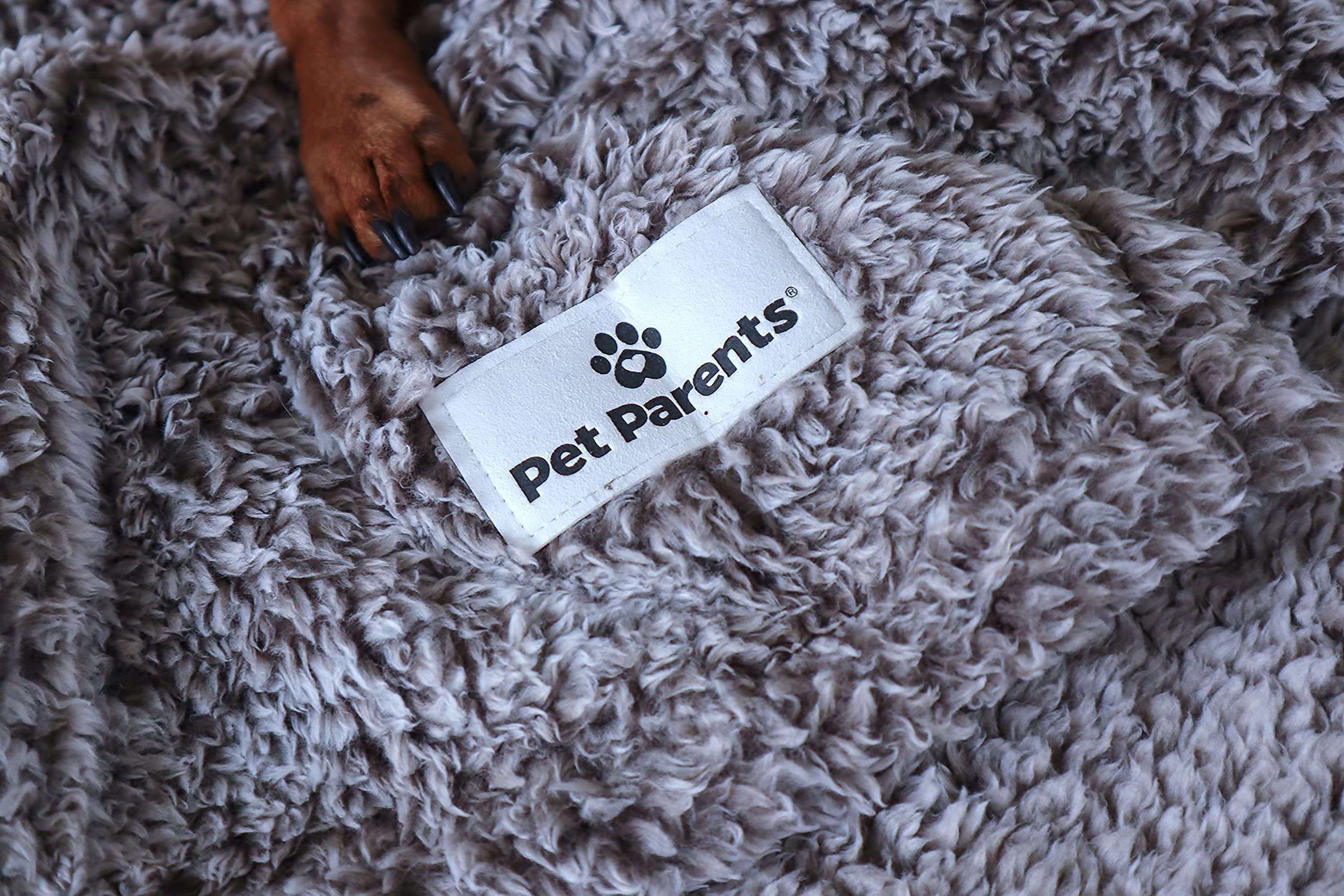 Pet Parents Water Resistant Pet Blanket, Slate, 24x32, Ideal for Small to Large Dogs, Couch Use