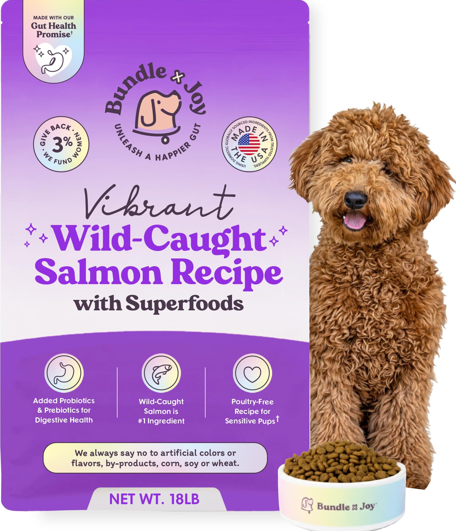 Bundle x Joy Vibrant Probiotic Dog Food Dry, Salmon, 18lb Bag, Allergy and Gut-Friendly Adult Kibble for Digestive Health with W