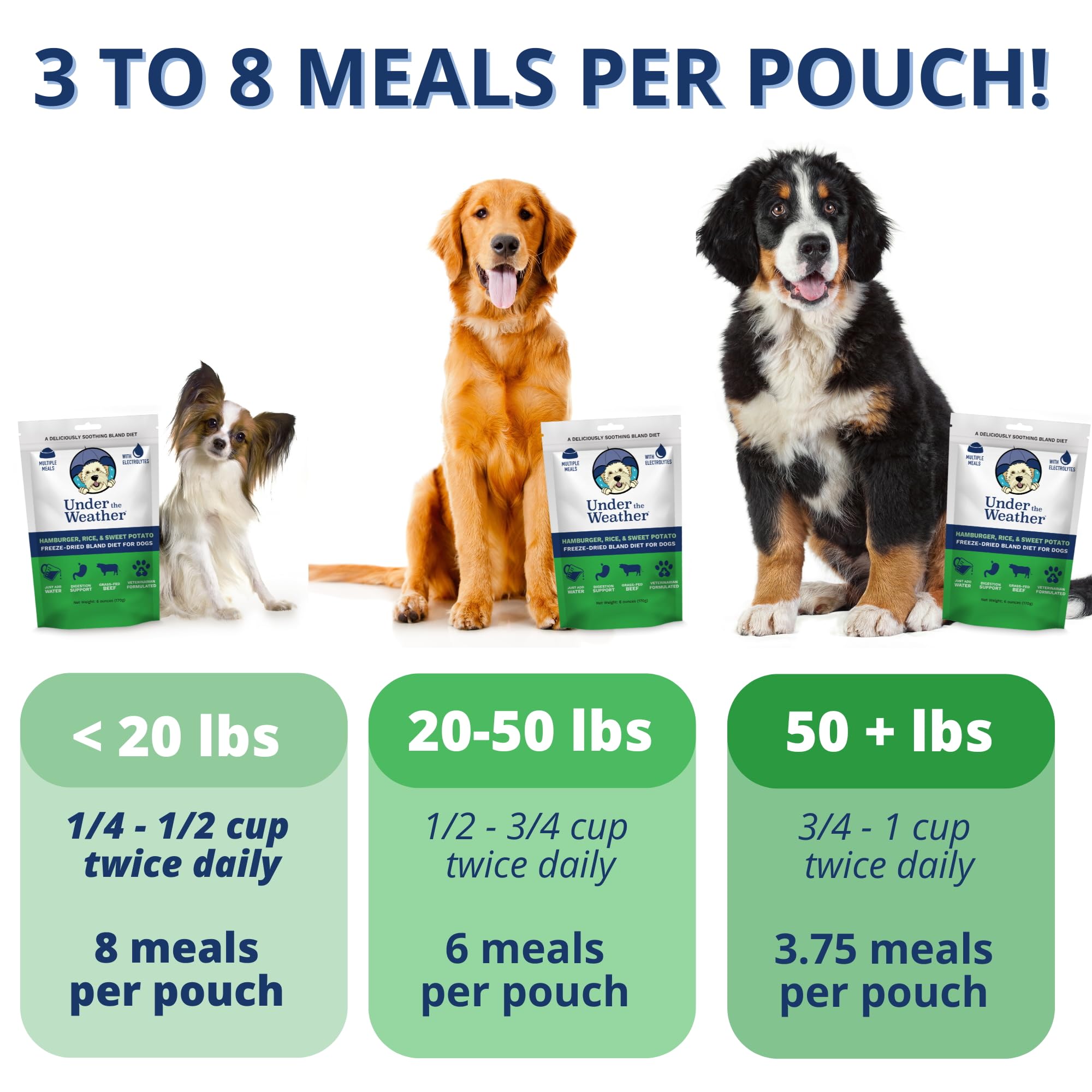Under the Weather Bland Diet for Dogs | Easy to Digest for Sick Dogs |Always Be Ready| Contains Electrolytes - Natural Freeze Dr