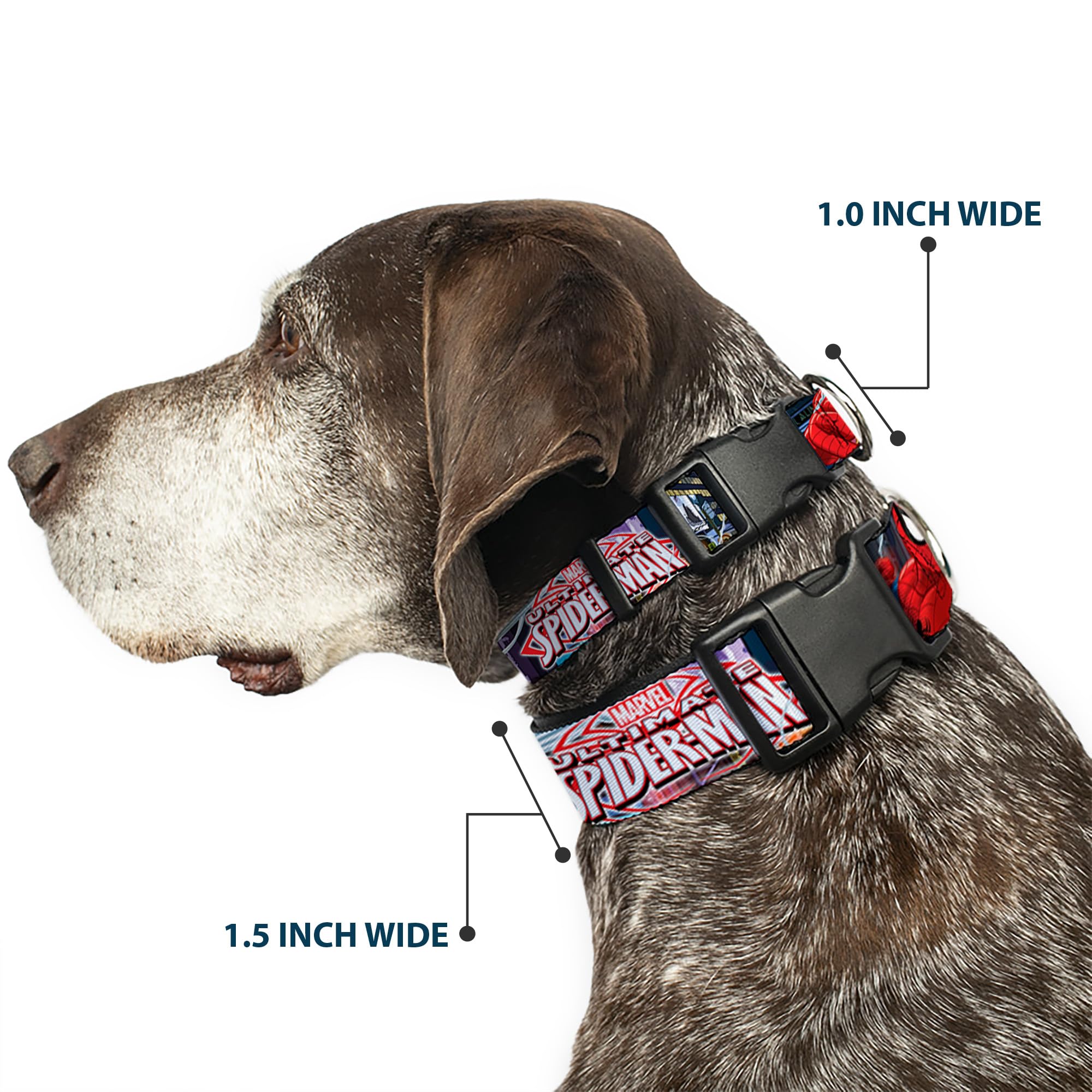 Dog Collar Plastic Clip The Ultimate Spider Man Swinging City Poses 16 to 23 Inches 1.5 Inch Wide